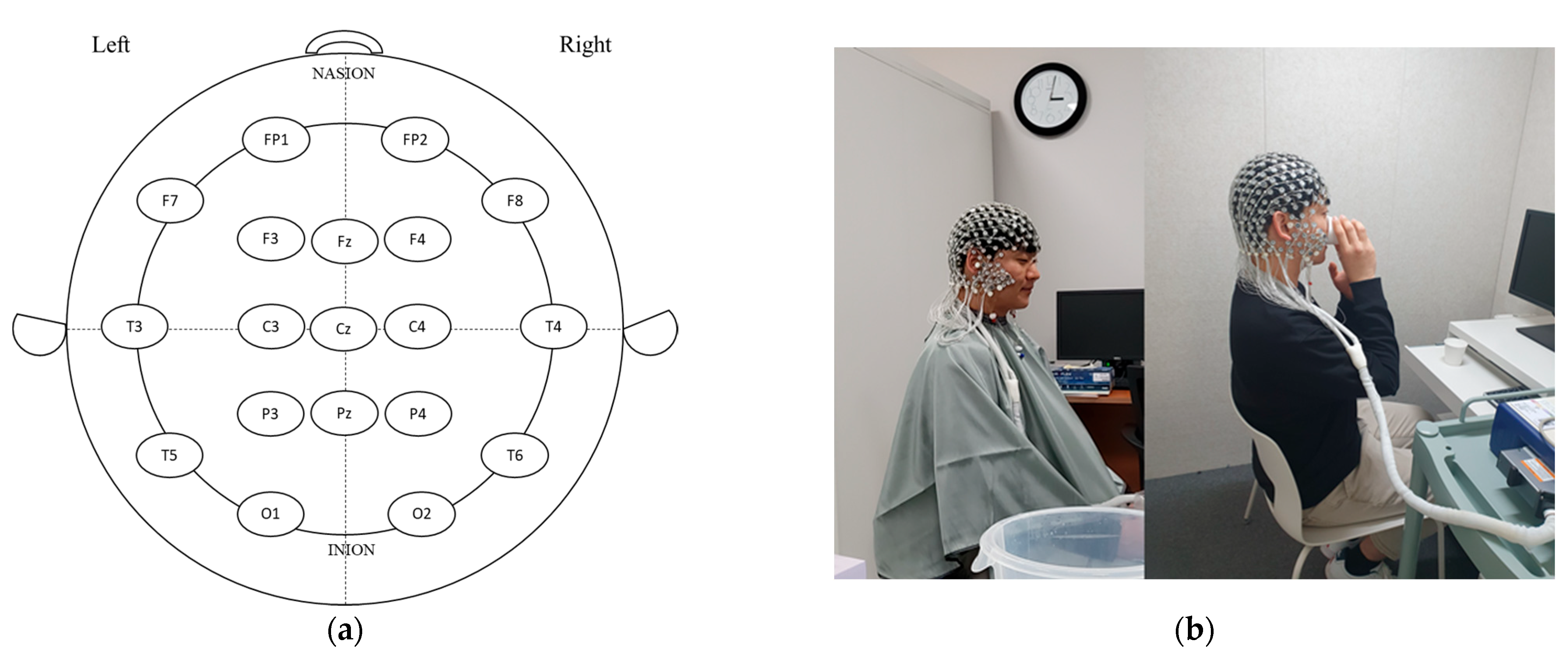 Foods 12 03493 g001 Foods 12 03493 g001