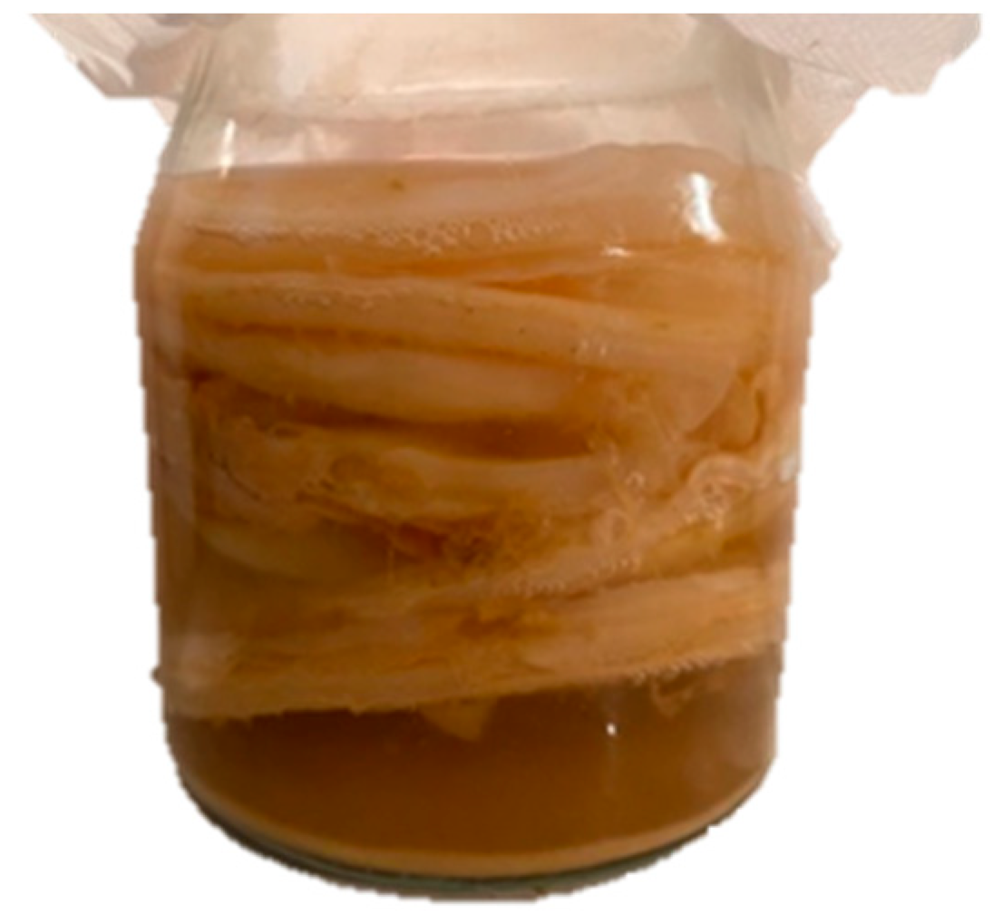 Foods 12 03496 g001 Foods 12 03496 g001