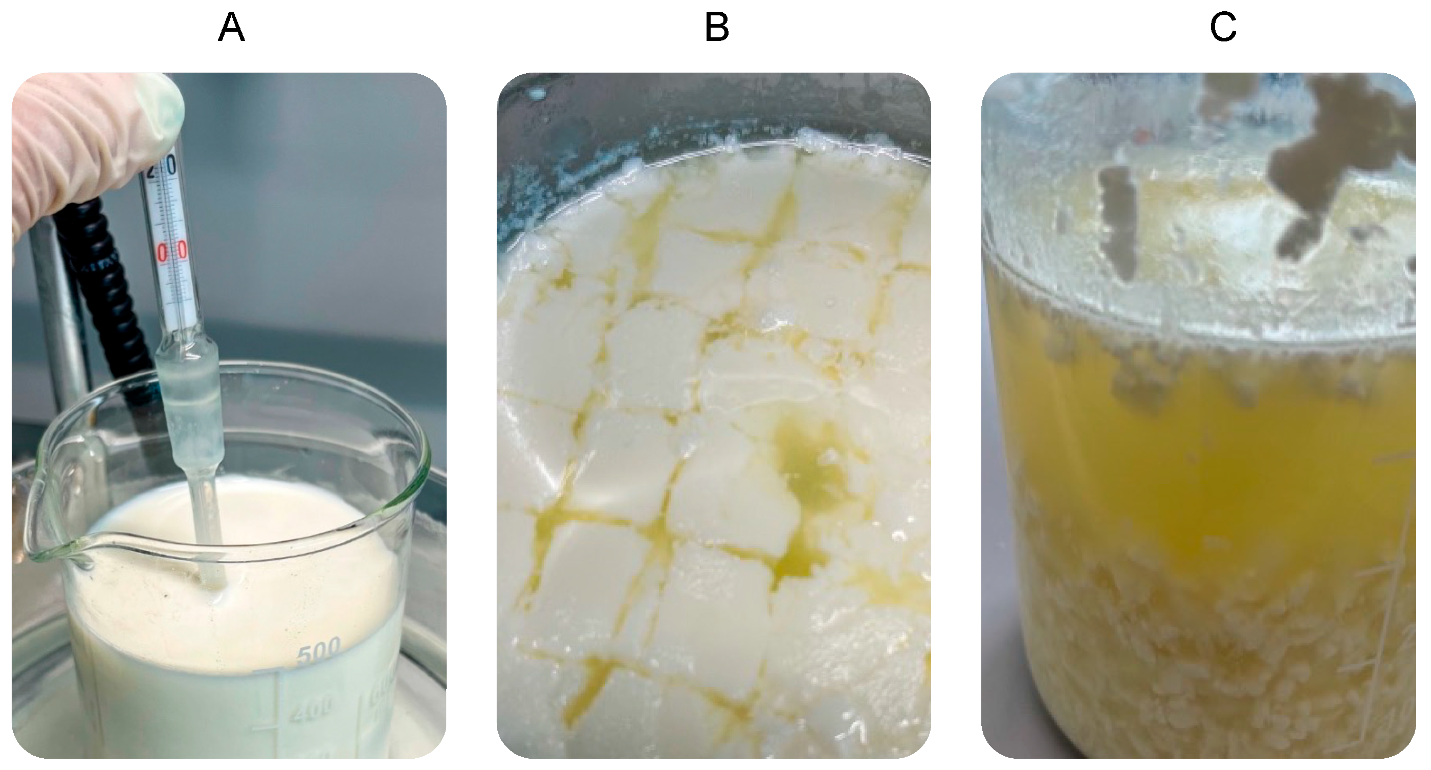 Foods 12 03499 g001 Foods 12 03499 g001