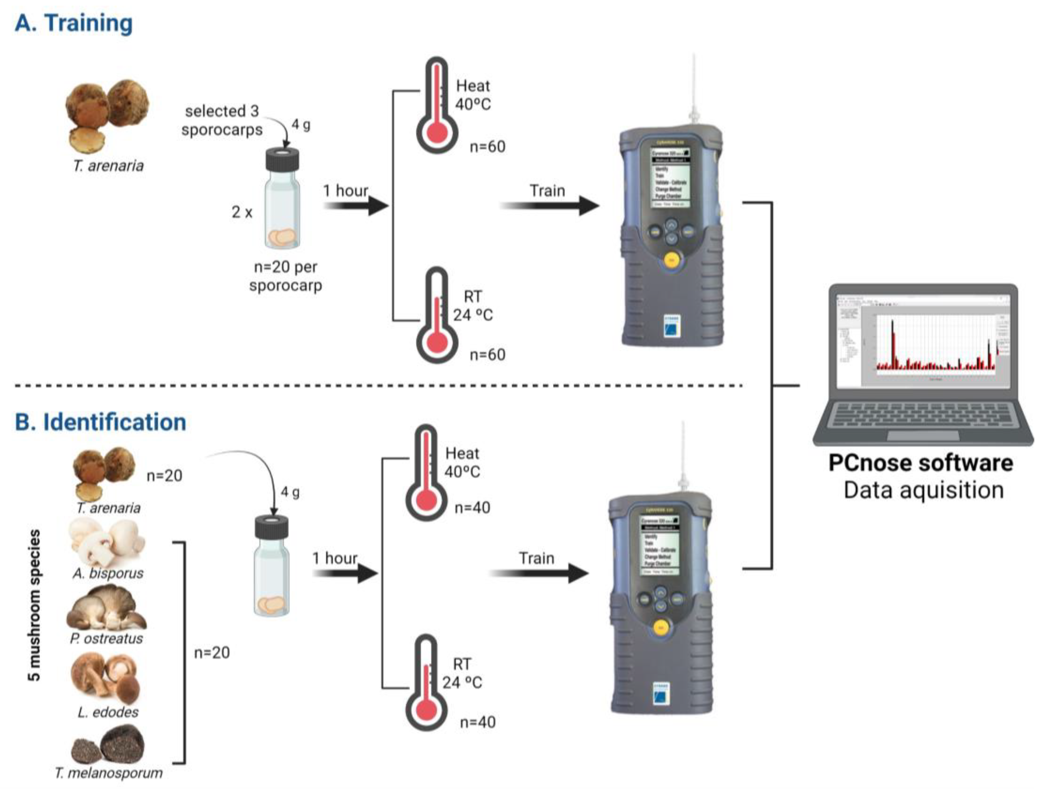 Foods 12 03527 g001 Foods 12 03527 g001