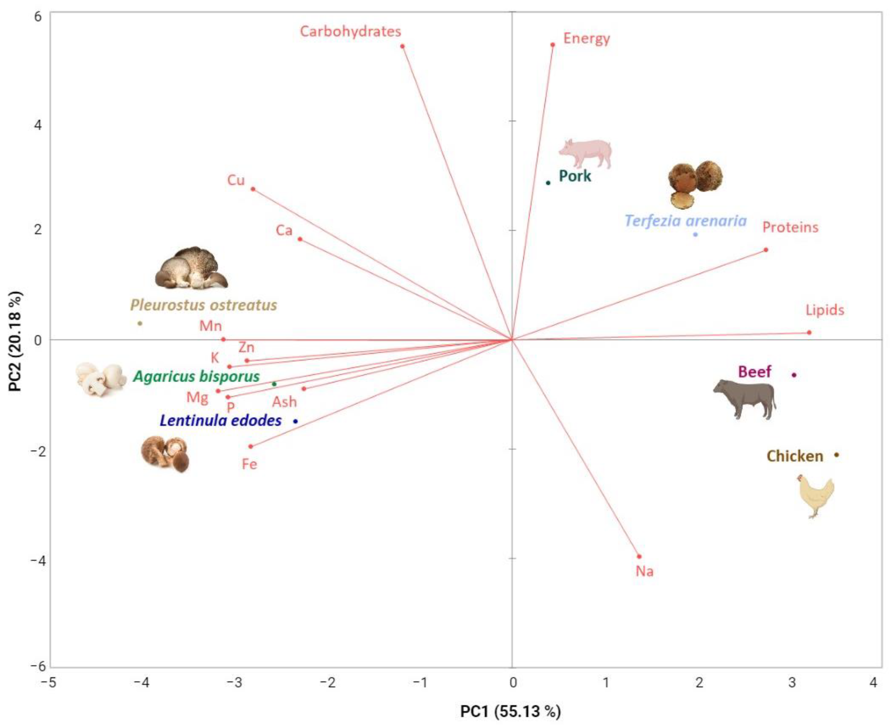 Foods 12 03527 g002 Foods 12 03527 g002