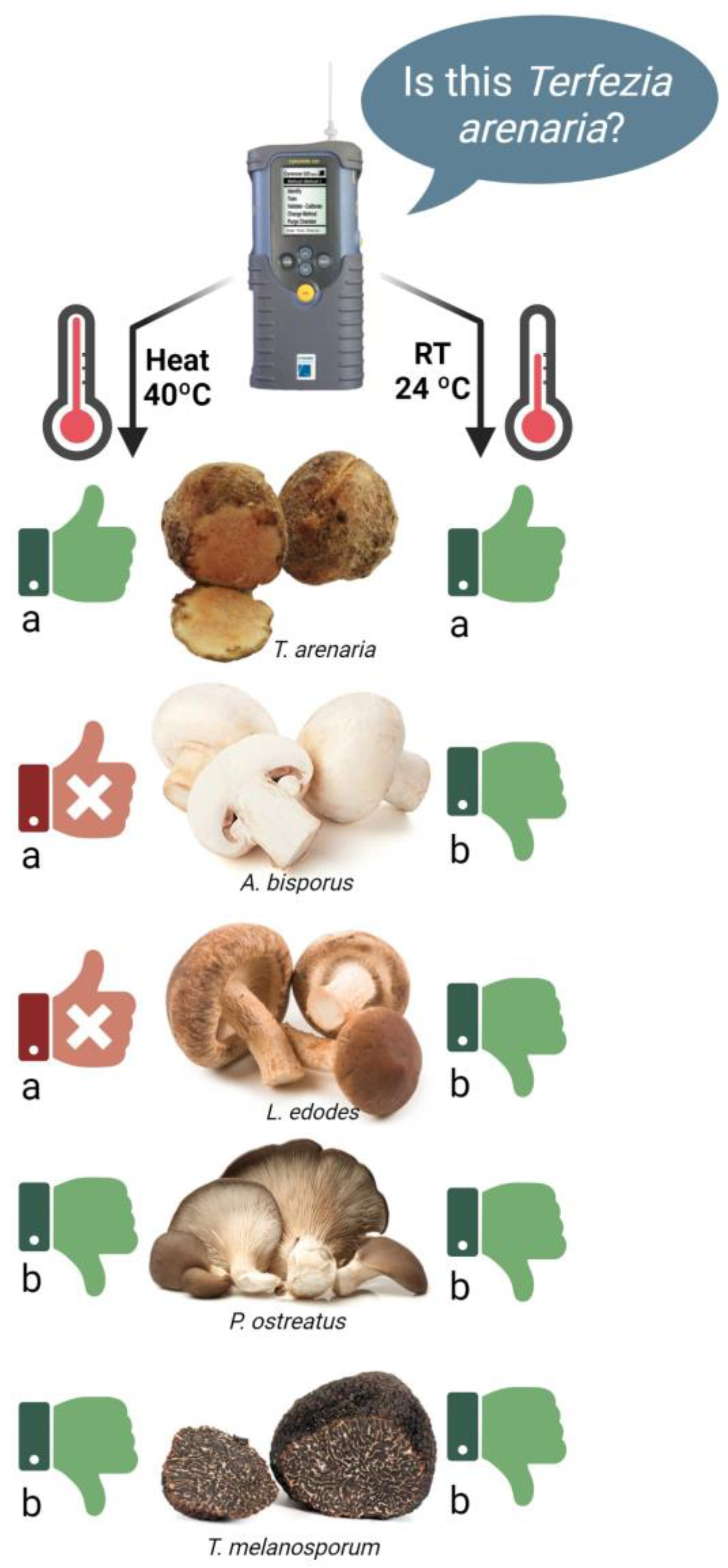 Foods 12 03527 g006 Foods 12 03527 g006