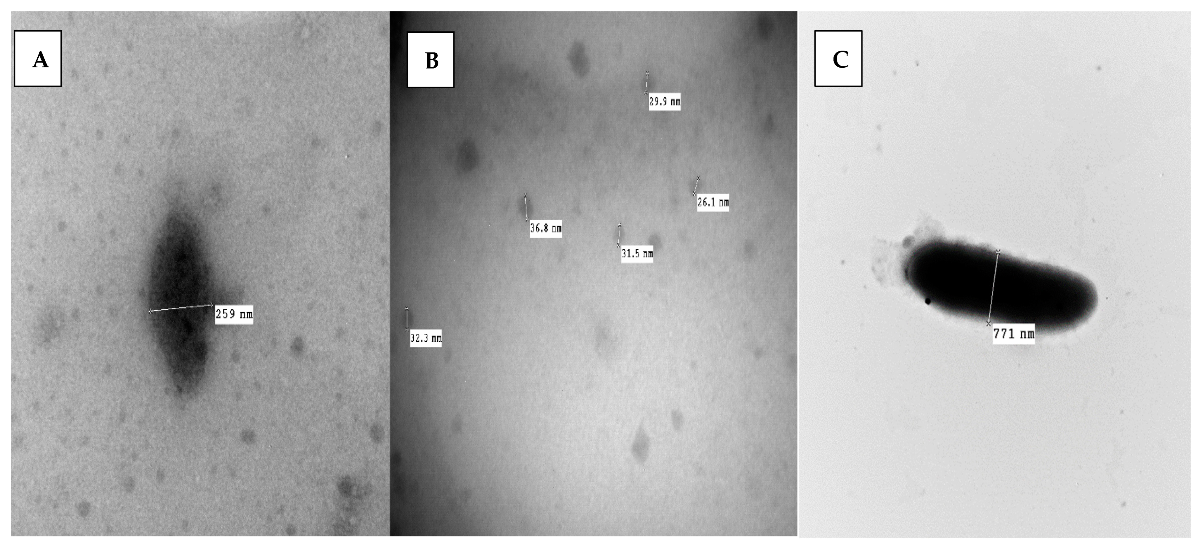 Foods 12 03548 g004 Foods 12 03548 g004