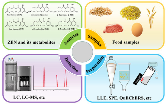 Advancements in Sample Preparation Methods for the