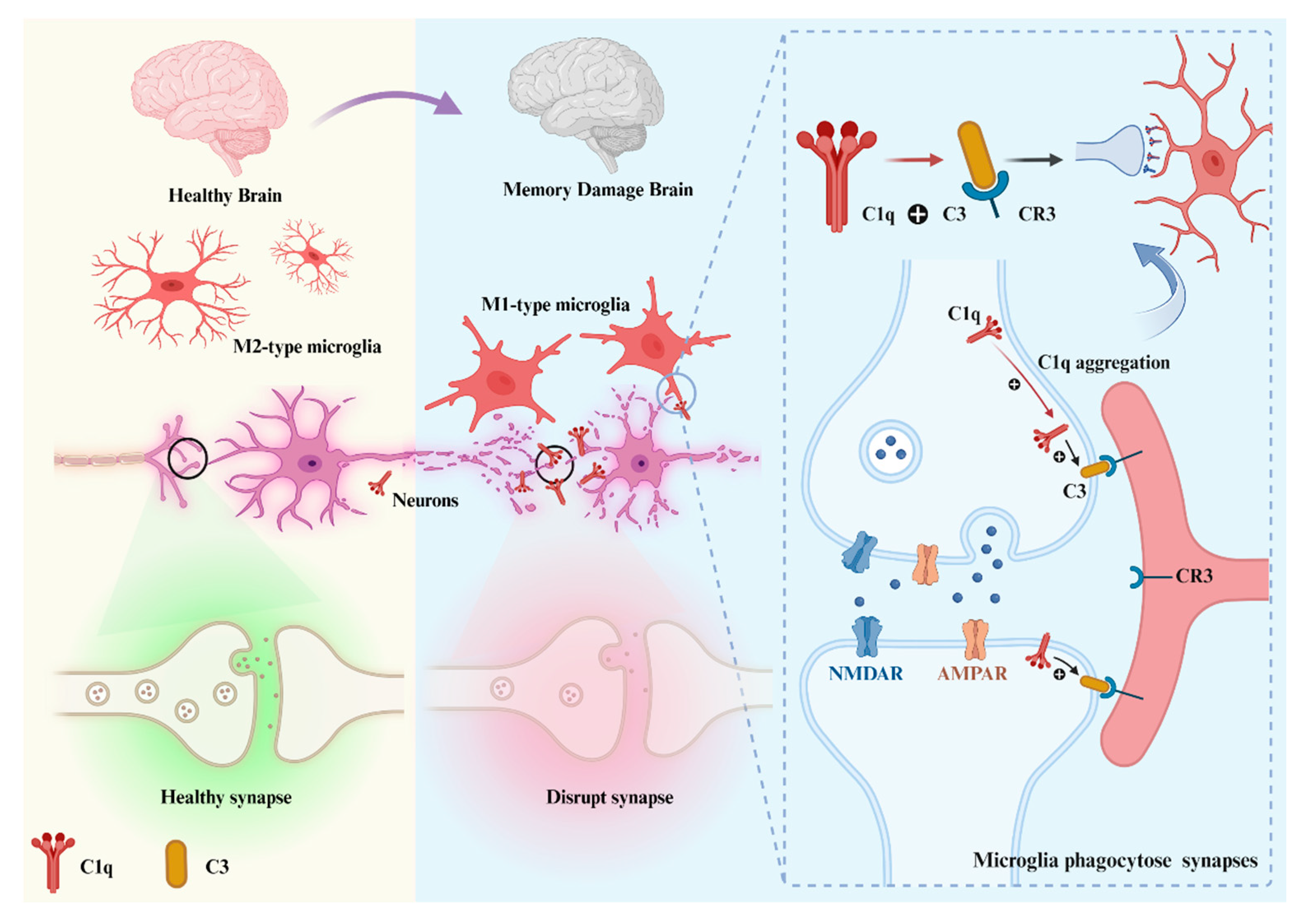 Foods 12 03580 g003 Foods 12 03580 g003