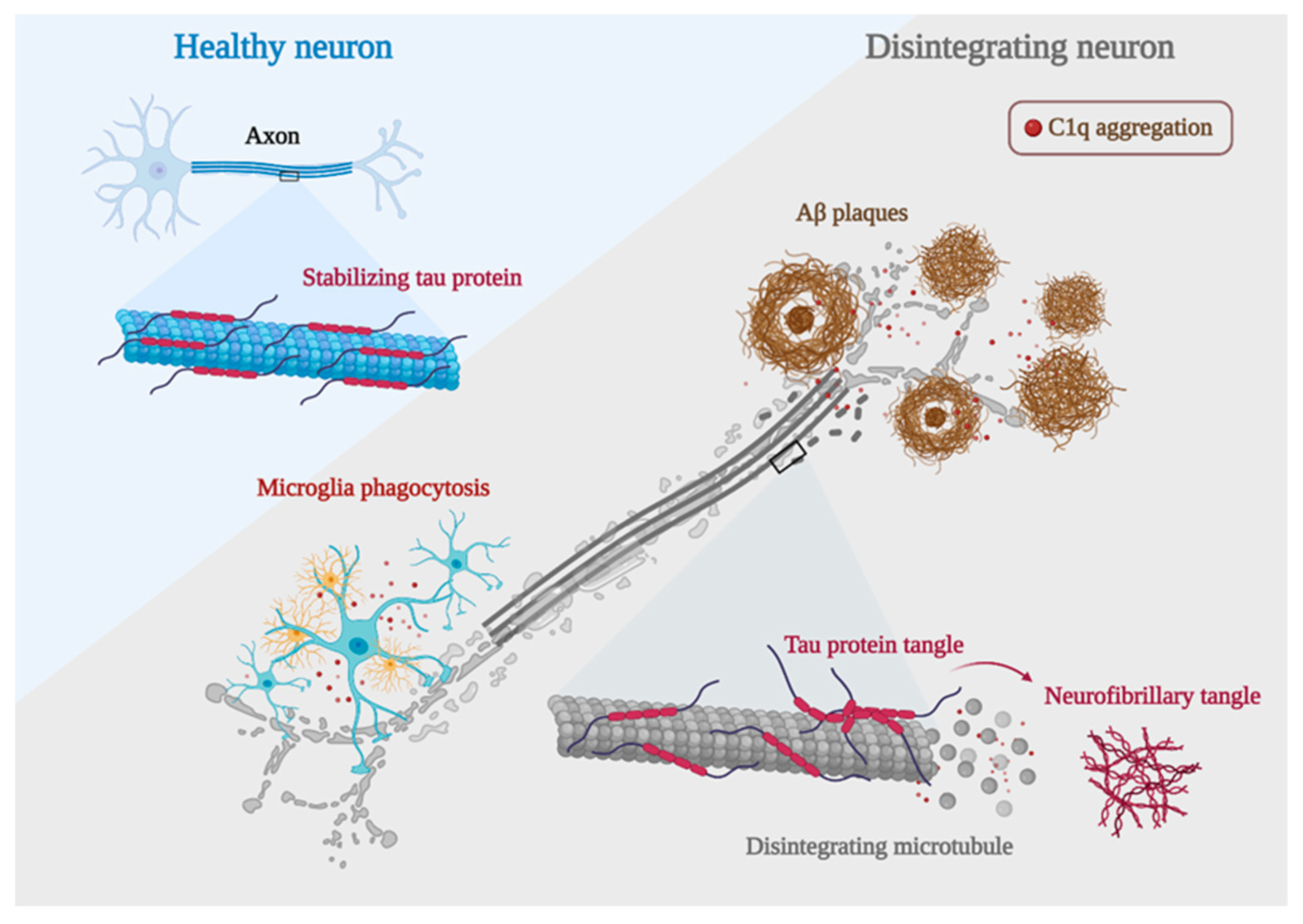 Foods 12 03580 g004 Foods 12 03580 g004