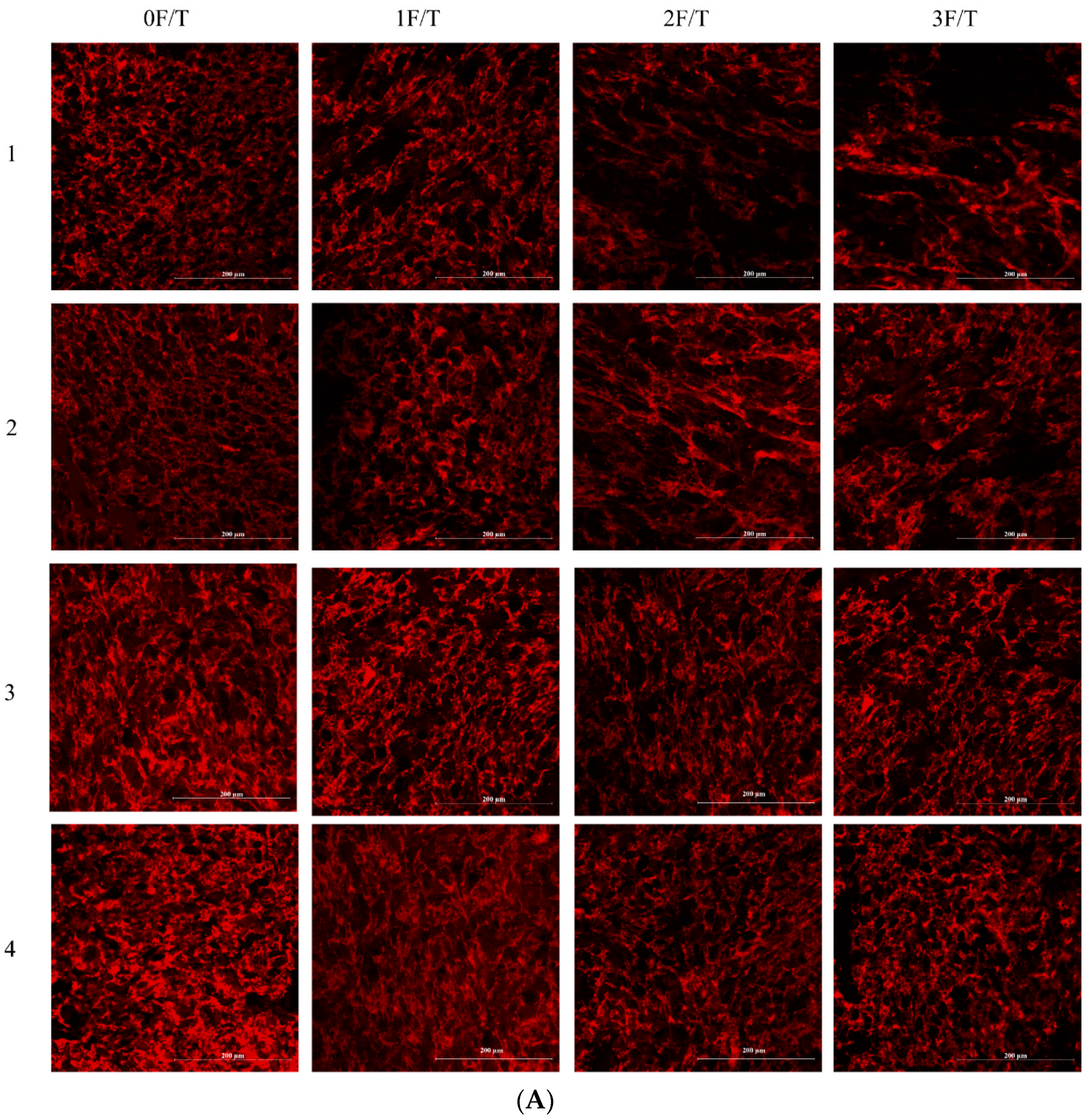 Foods 12 03607 g007a