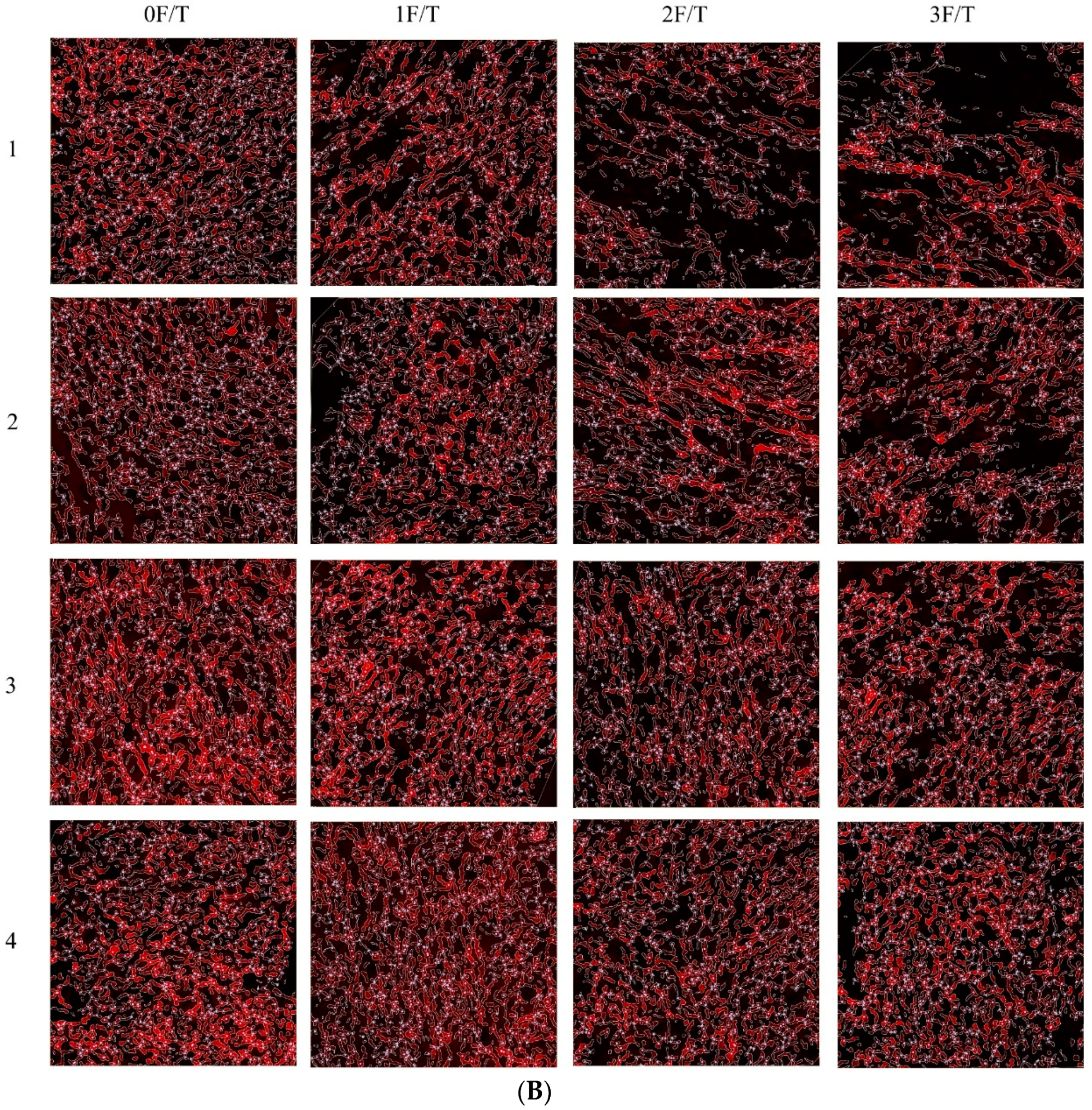 Foods 12 03607 g007b