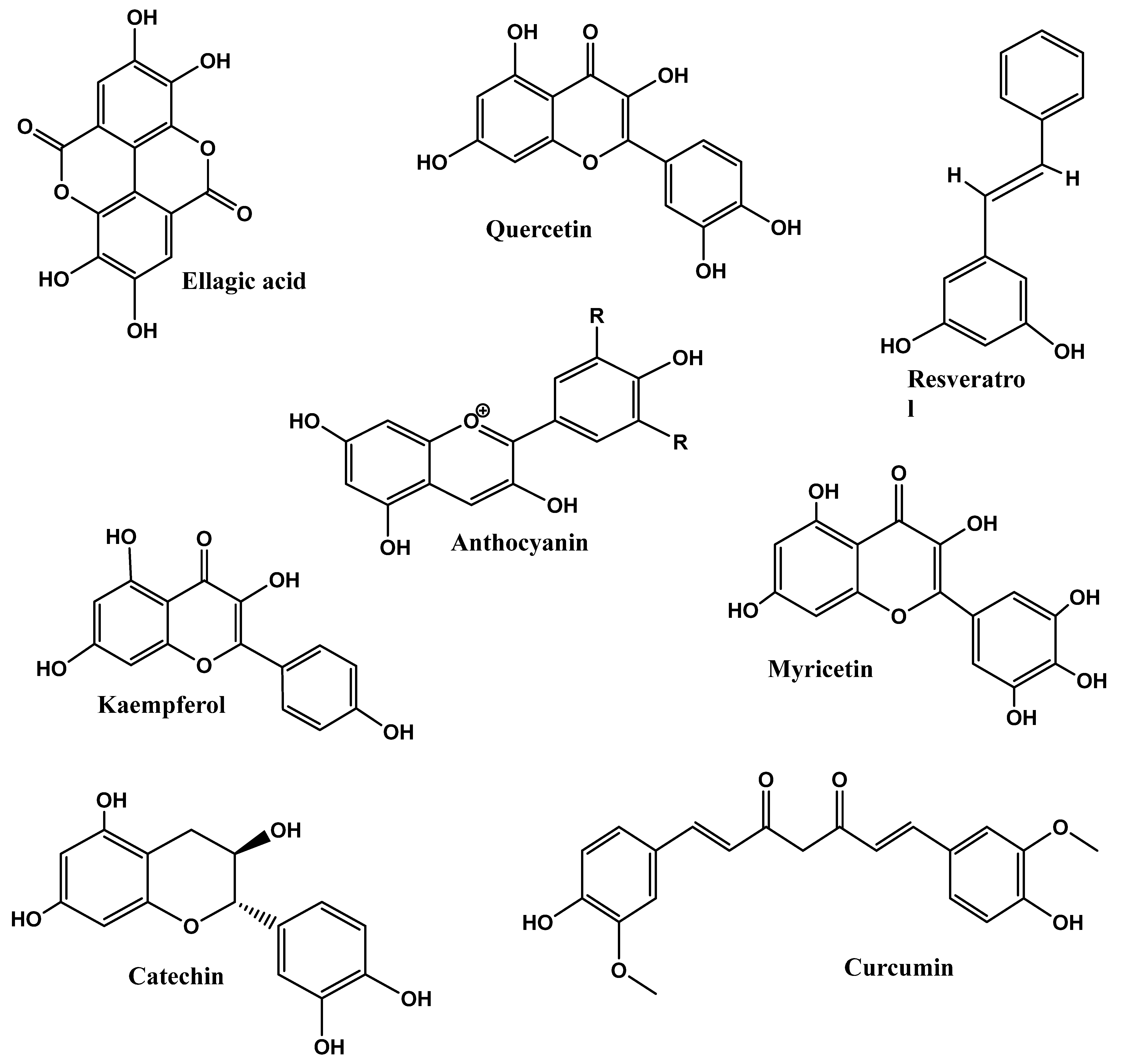 Foods 12 03610 g003a