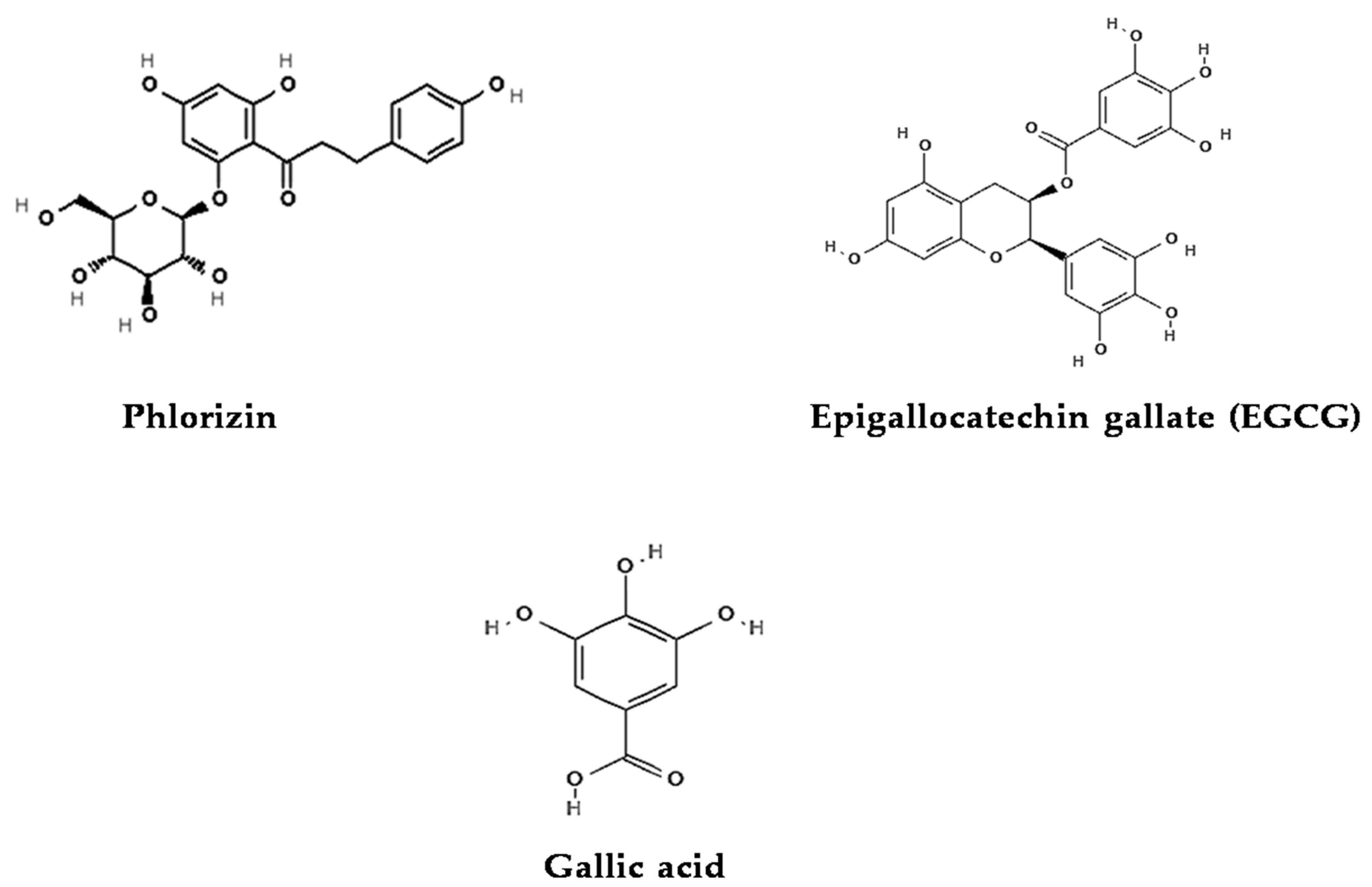 Foods 12 03610 g003b