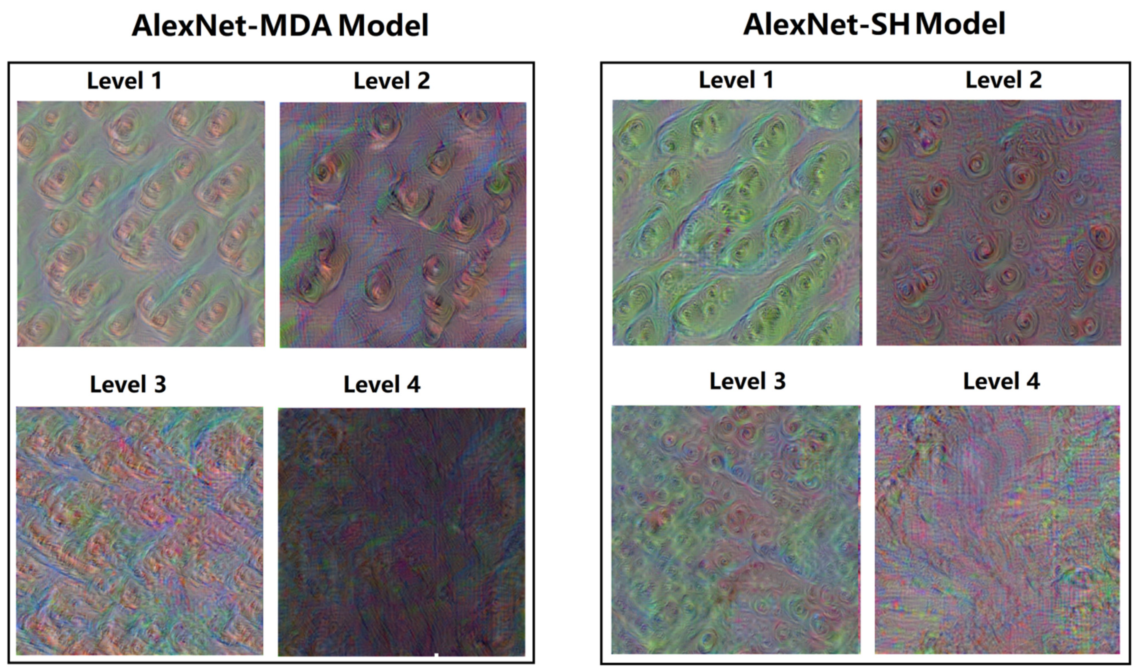 Foods 12 03616 g005 Foods 12 03616 g005