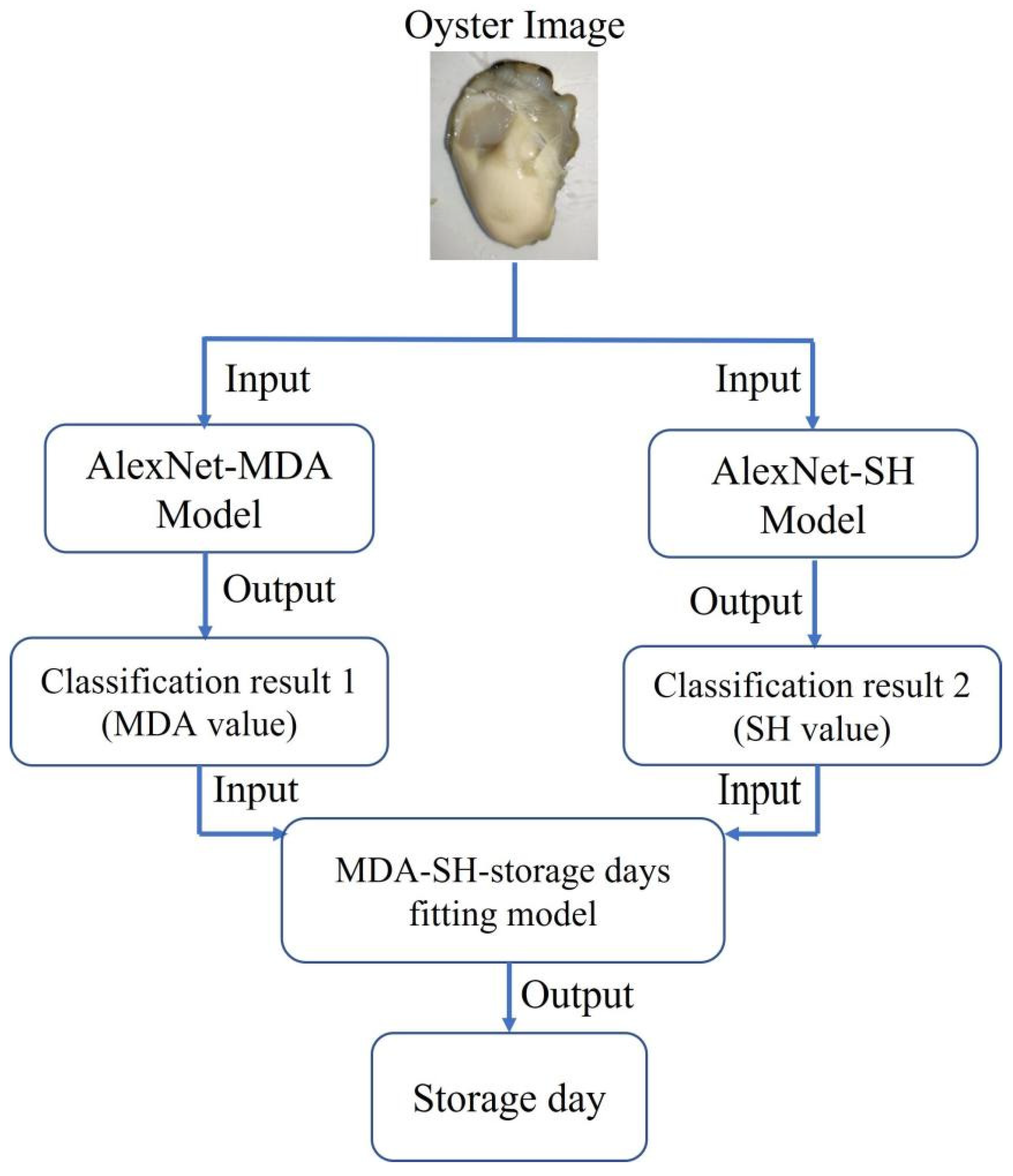 Foods 12 03616 g007 Foods 12 03616 g007
