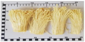 Foods 12 03632 i003 Foods 12 03632 i003