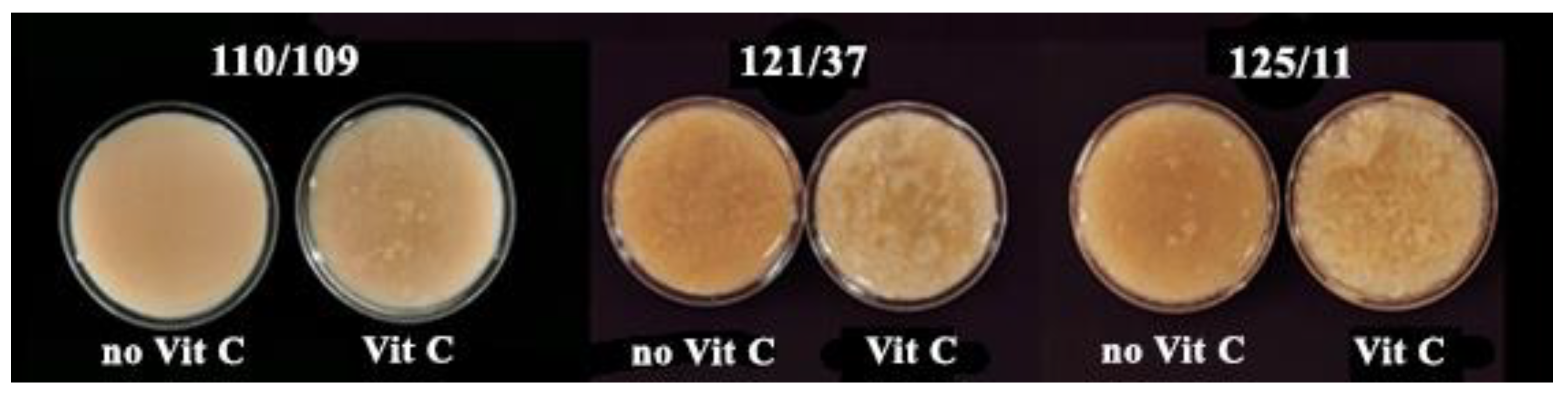 Foods 12 03676 g004a