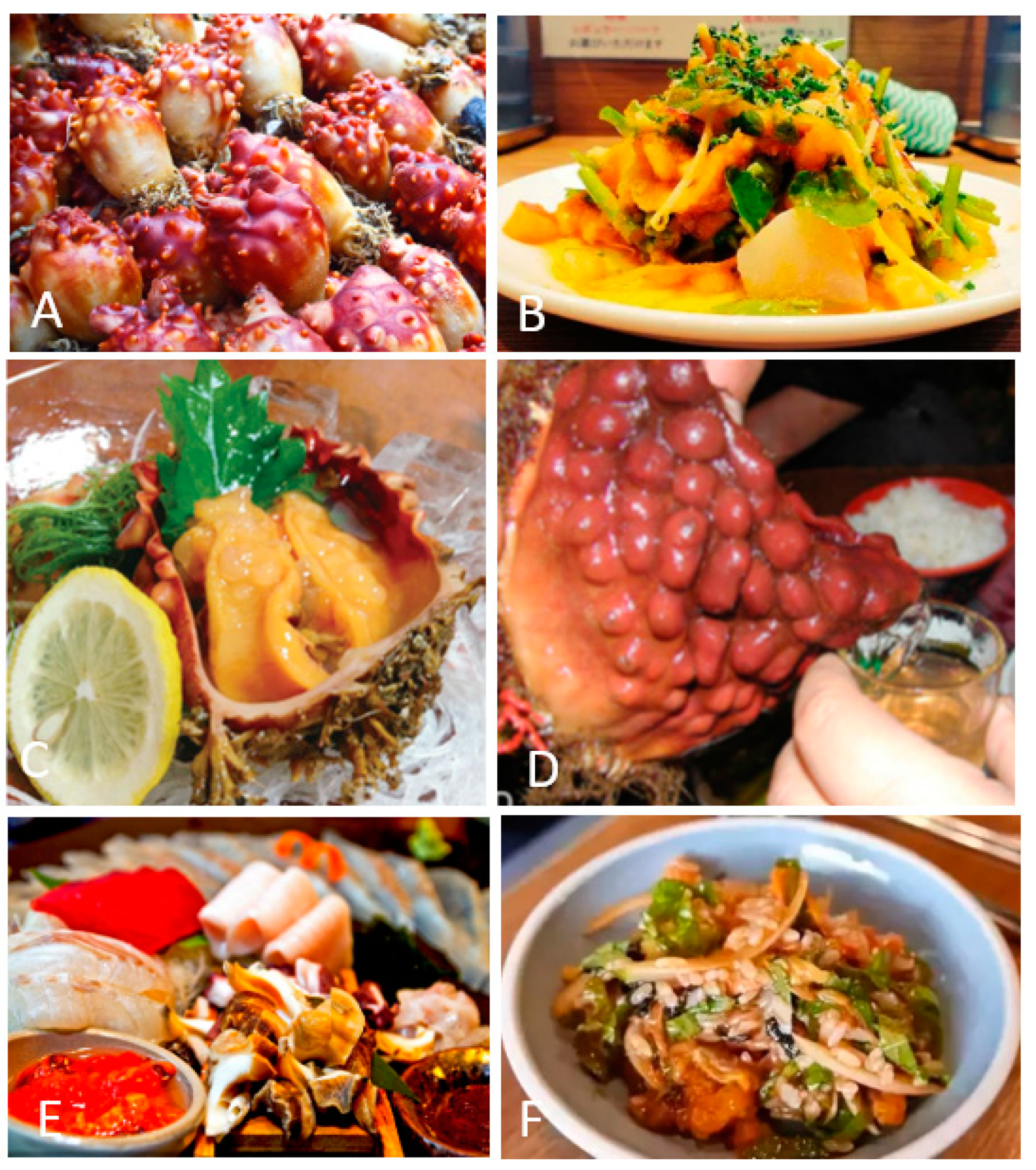 Foods 12 03684 g002 Foods 12 03684 g002