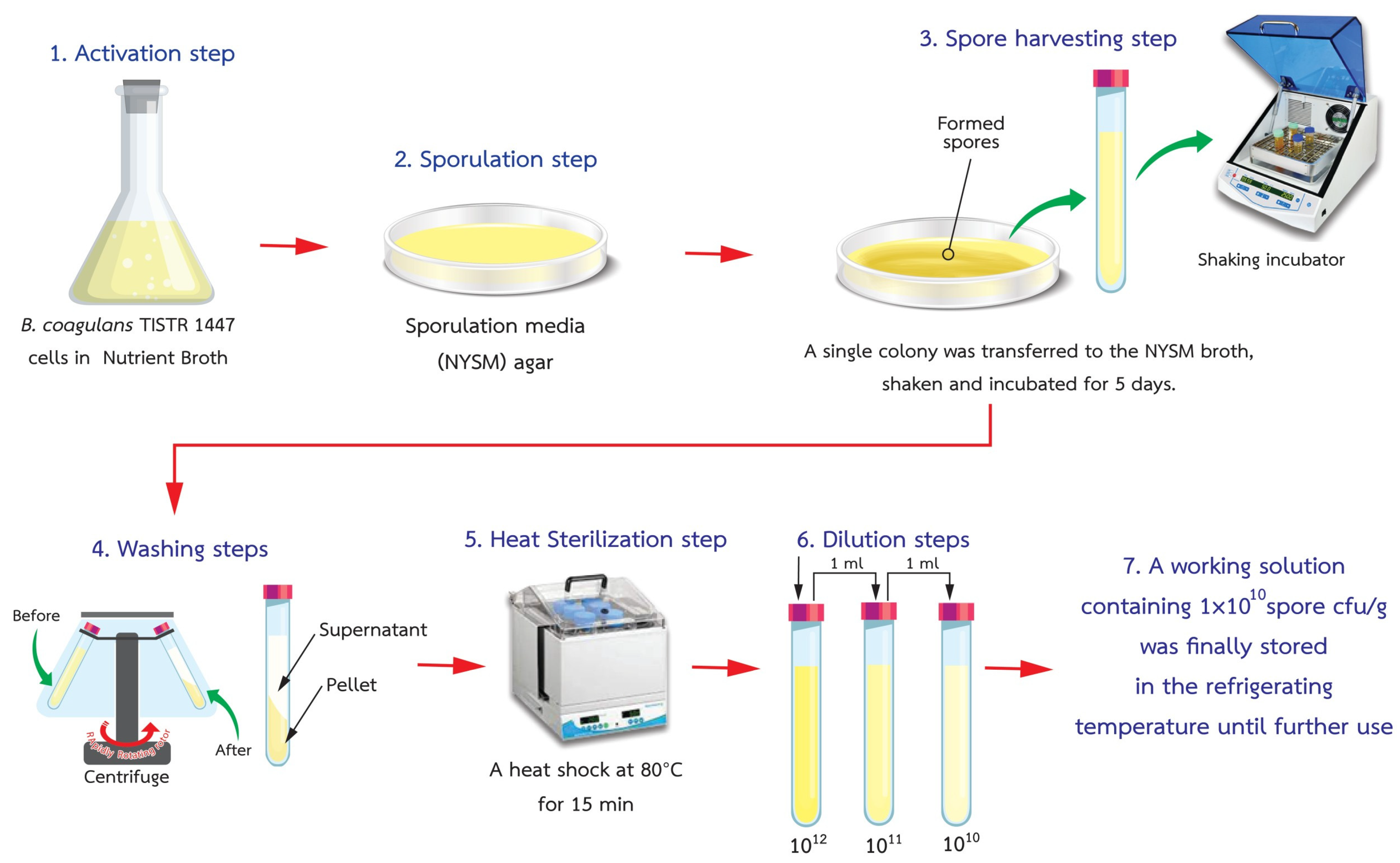 Foods 12 03692 g001 Foods 12 03692 g001