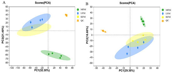 Untargeted Metabolomics and Physicochemical Analysis Revealed the ...