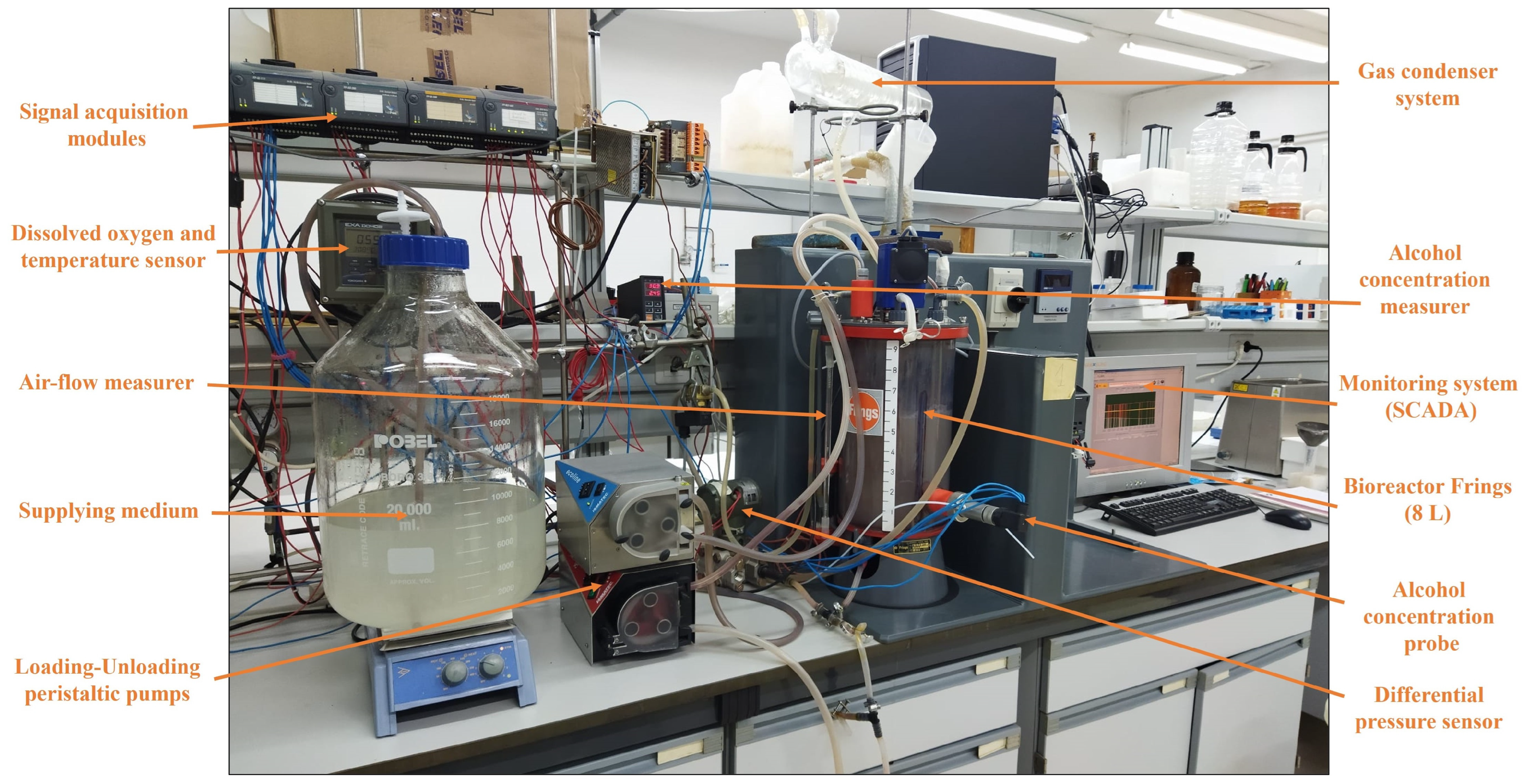 Foods 12 03705 g003 Foods 12 03705 g003