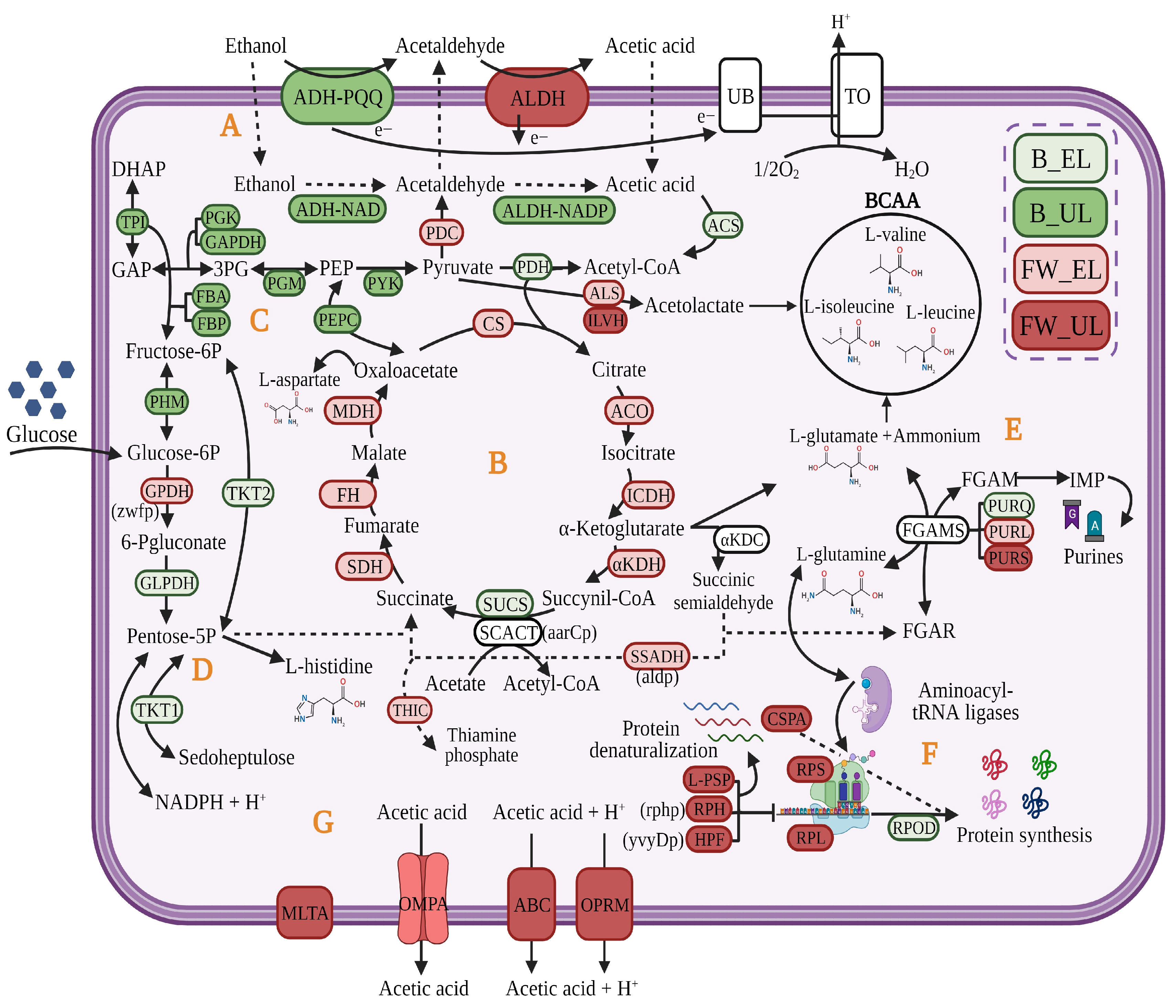 Foods 12 03705 g006 Foods 12 03705 g006
