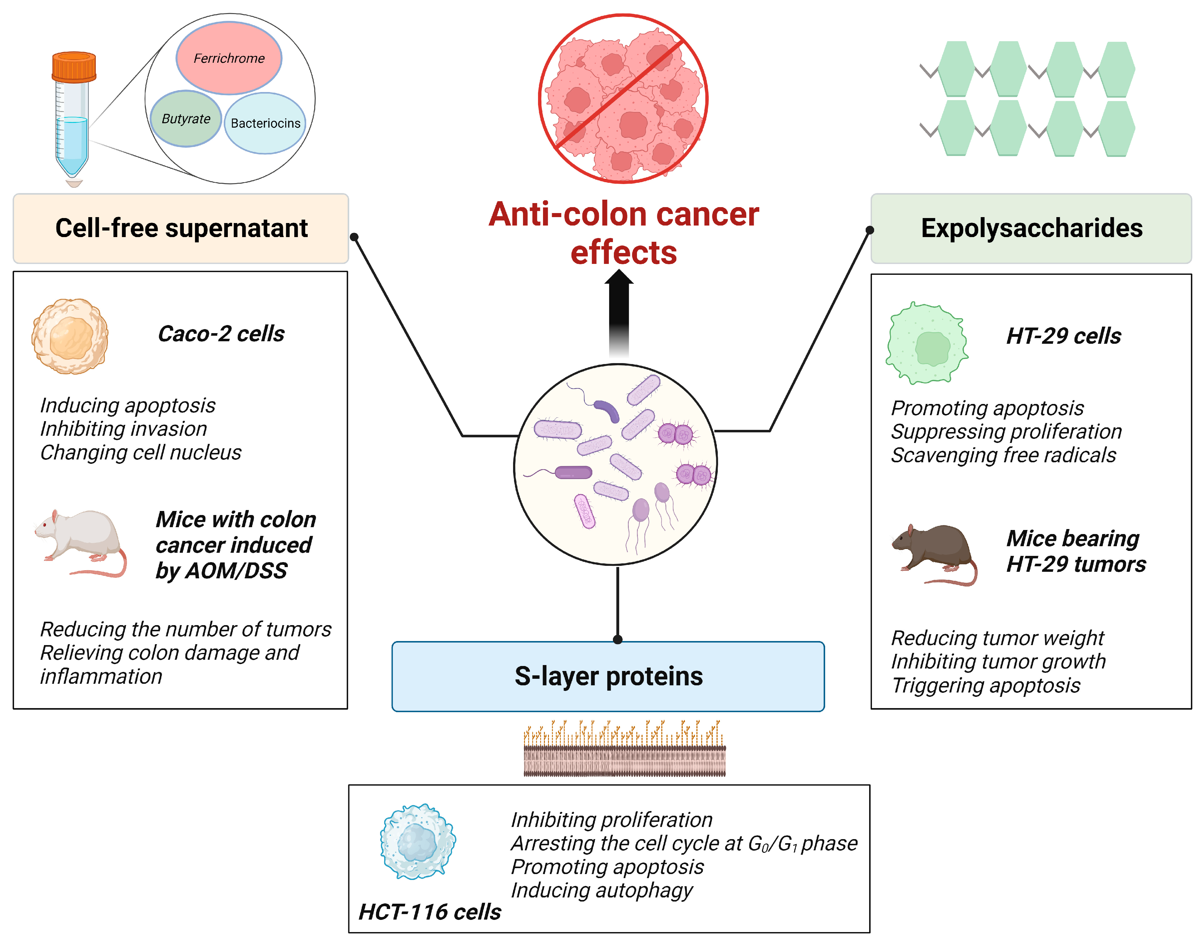 Foods 12 03706 g003 Foods 12 03706 g003