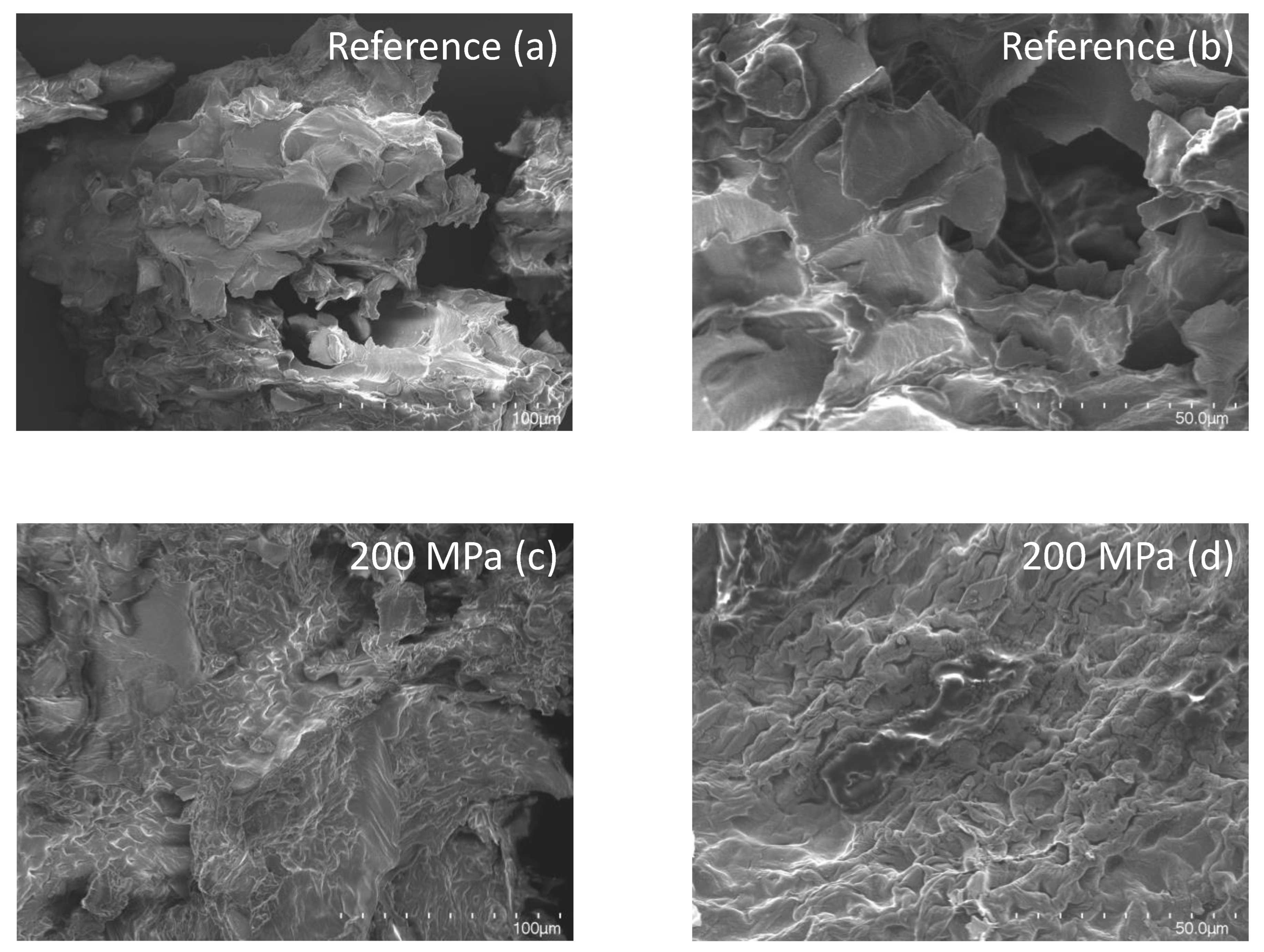 Foods 12 03736 g006a