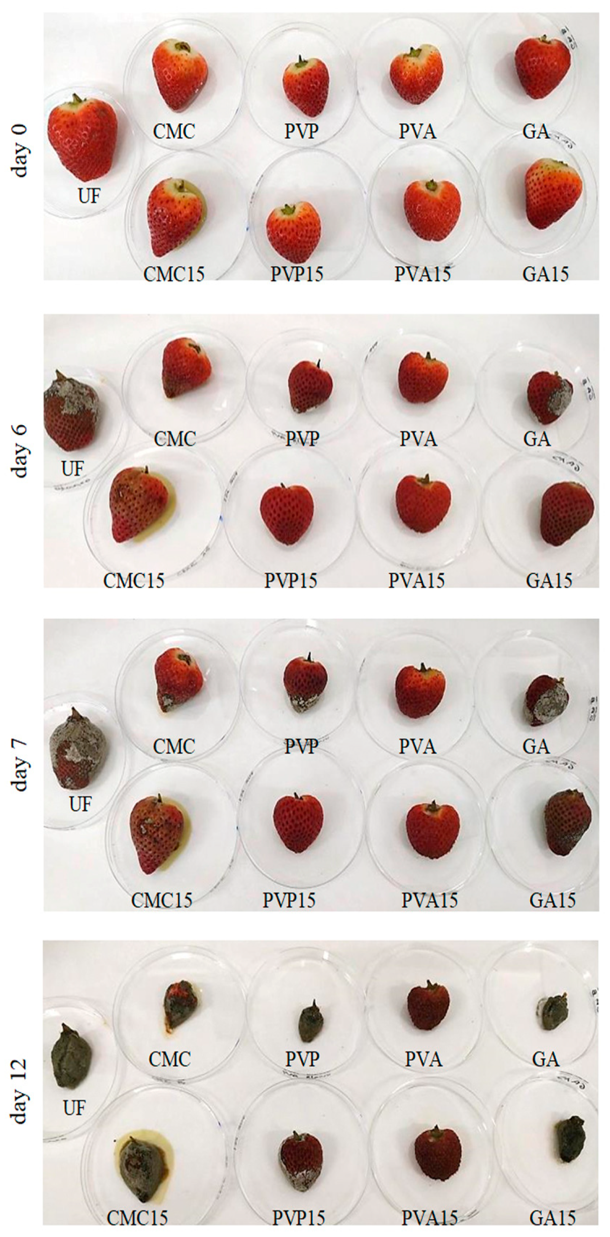 Foods 12 03741 g003 Foods 12 03741 g003