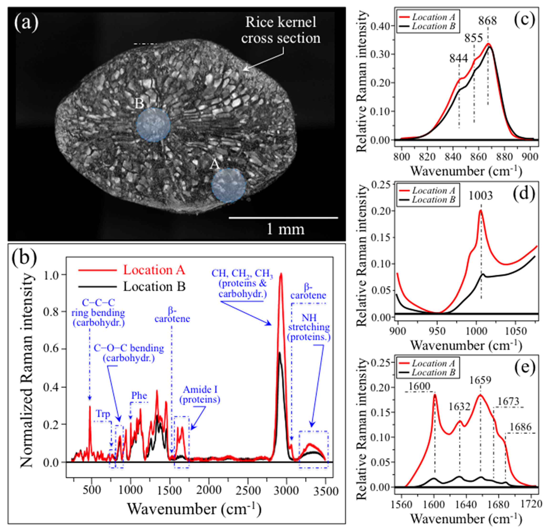Foods 12 03771 g002 Foods 12 03771 g002