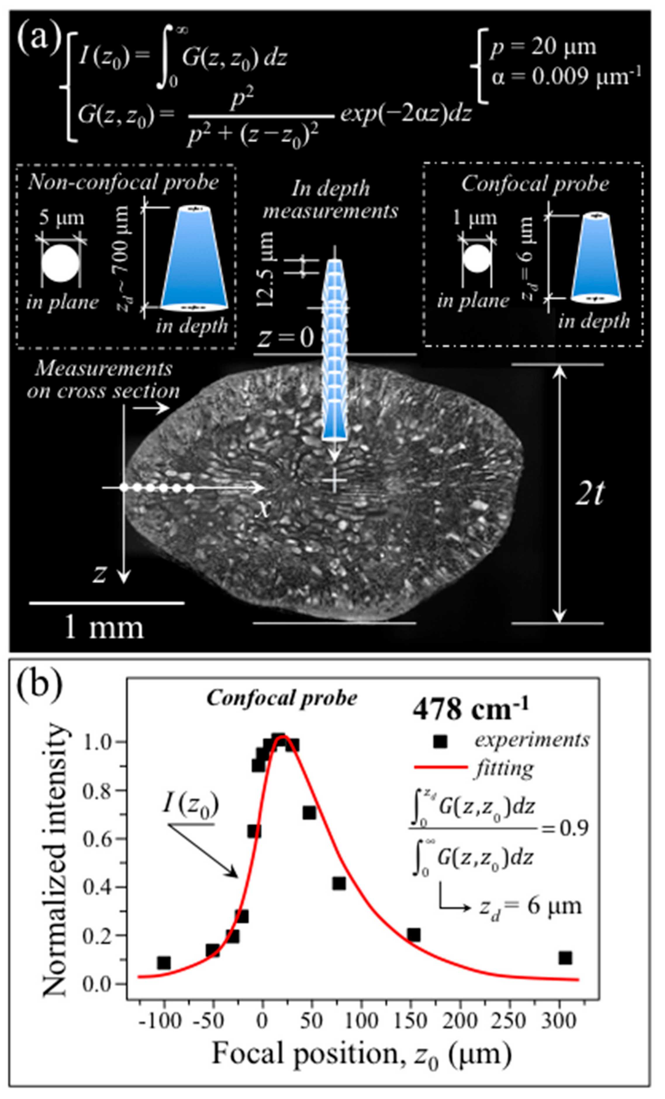 Foods 12 03771 g003 Foods 12 03771 g003