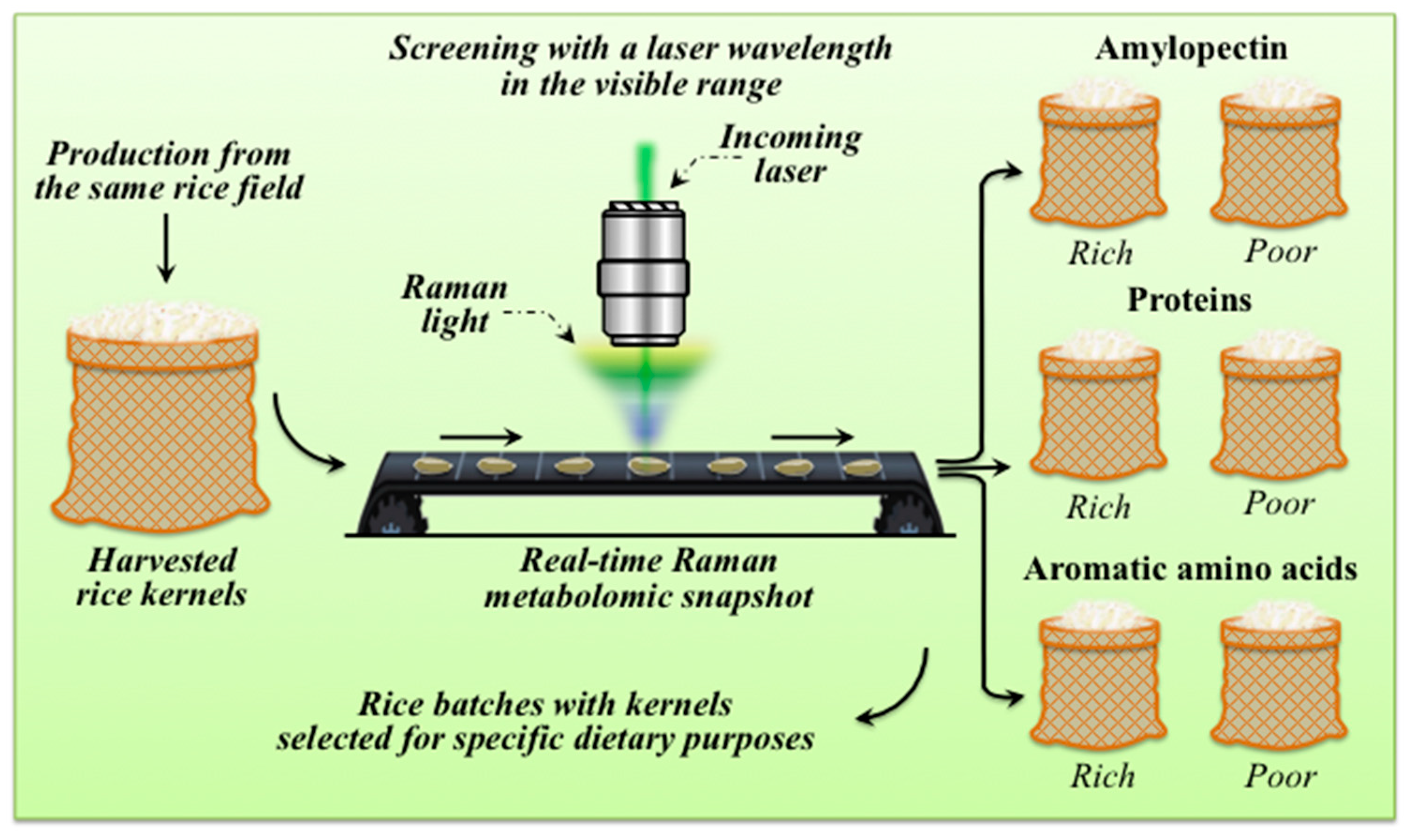 Foods 12 03771 g010 Foods 12 03771 g010
