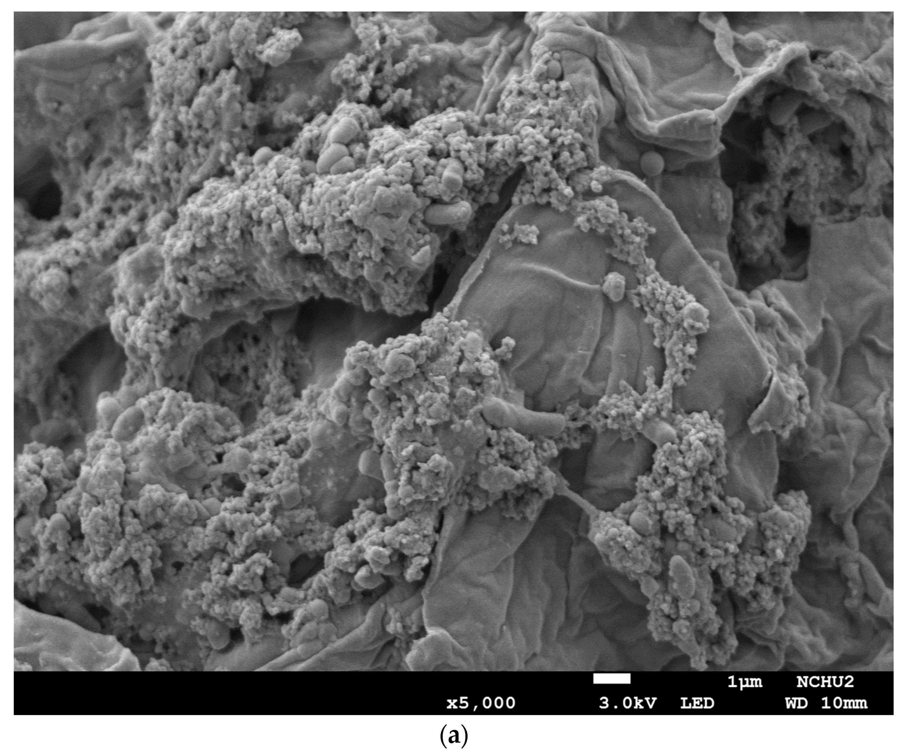 Foods 12 03781 g005a