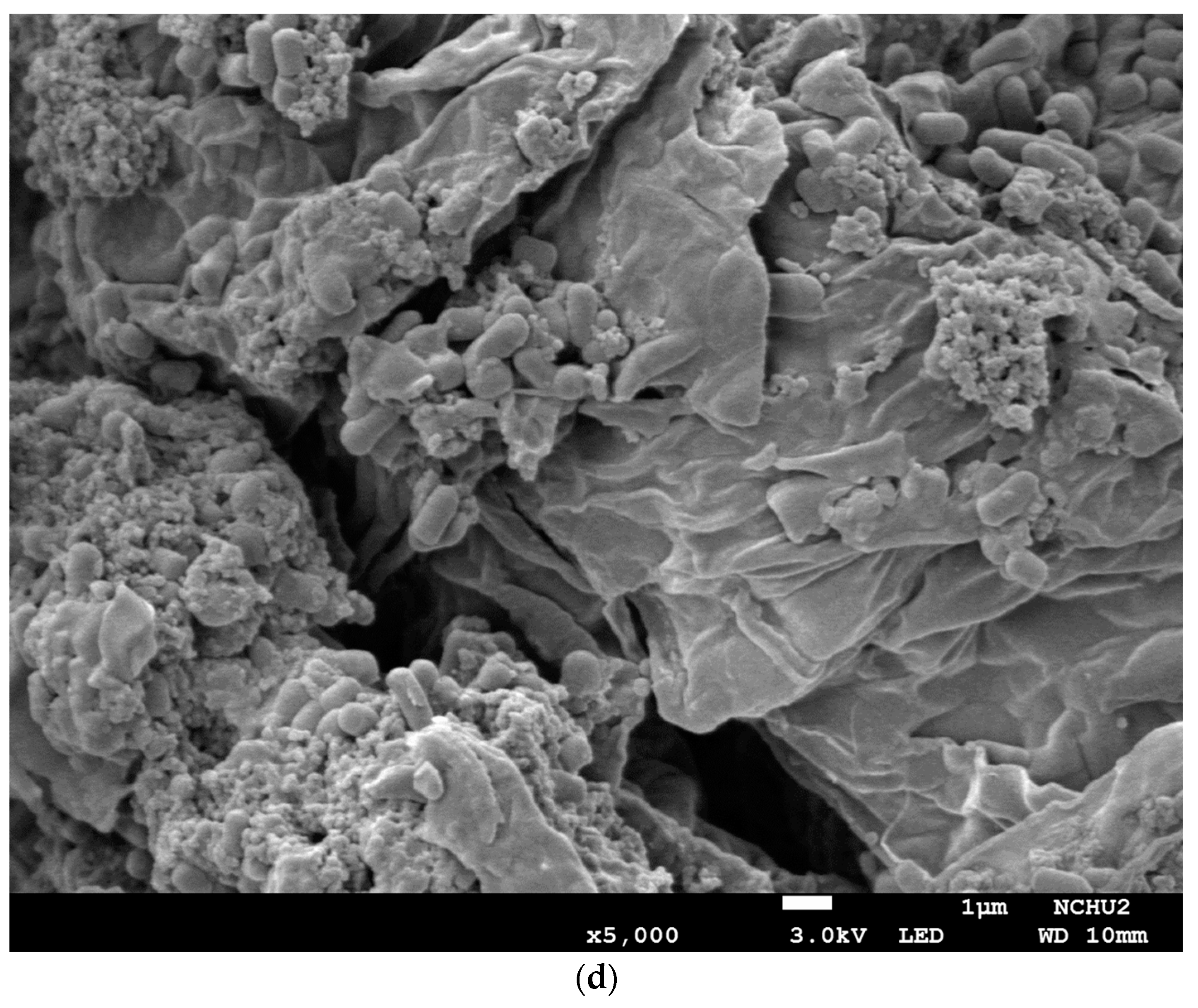 Foods 12 03781 g005c