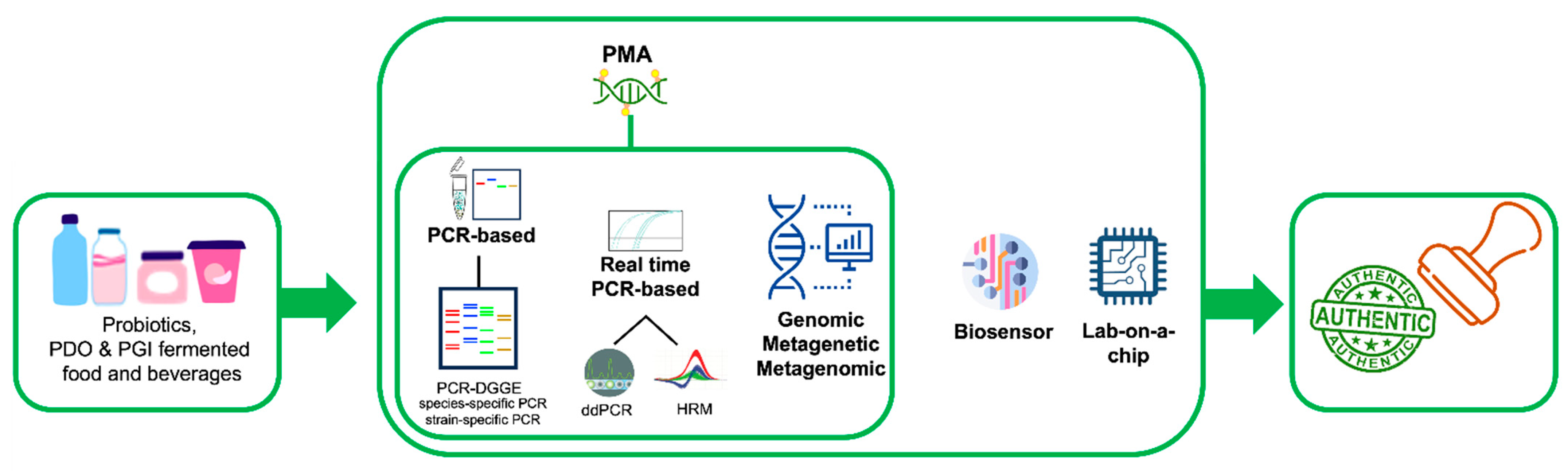Foods 12 03782 g001 Foods 12 03782 g001