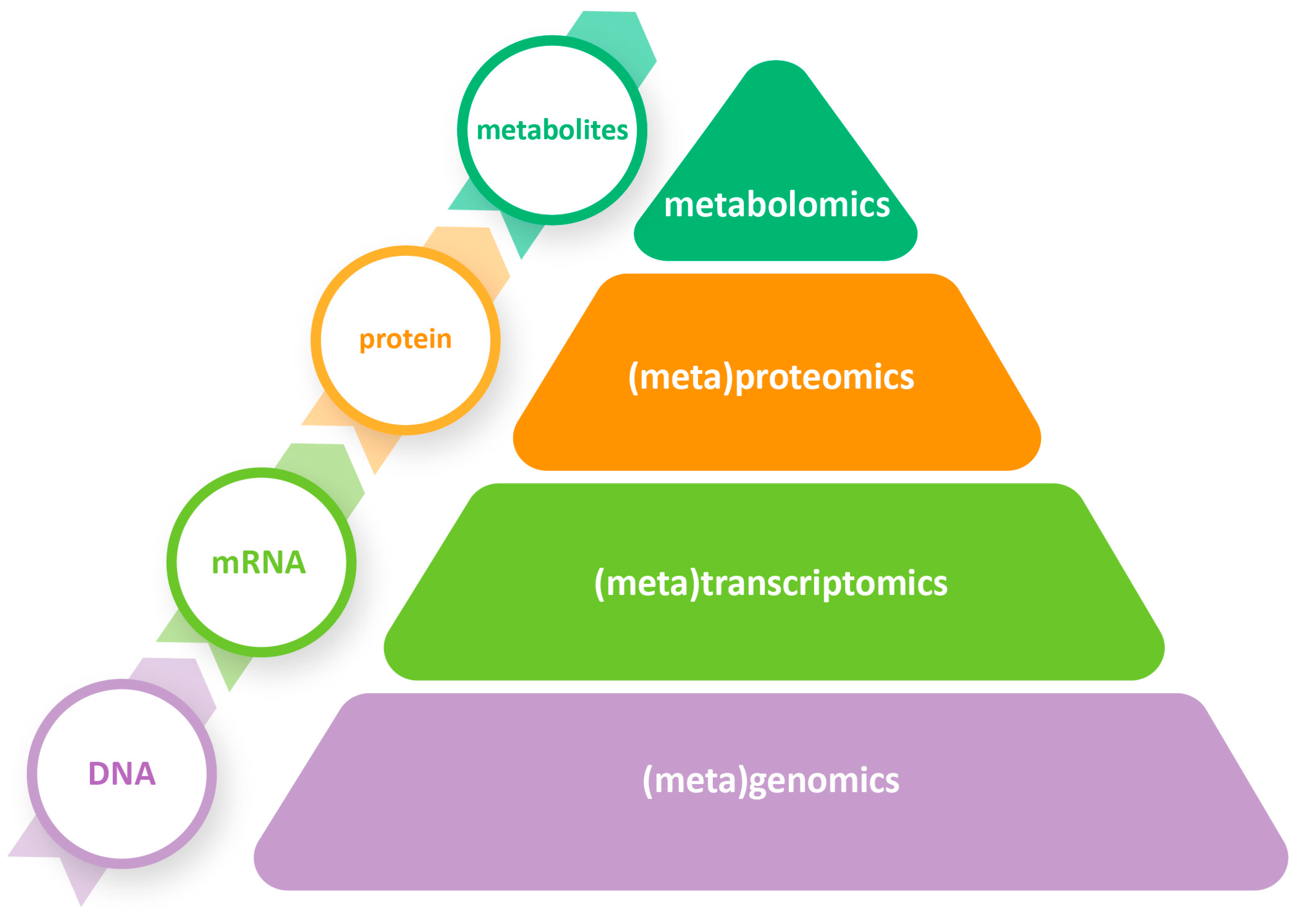 Foods 12 03783 g002 Foods 12 03783 g002