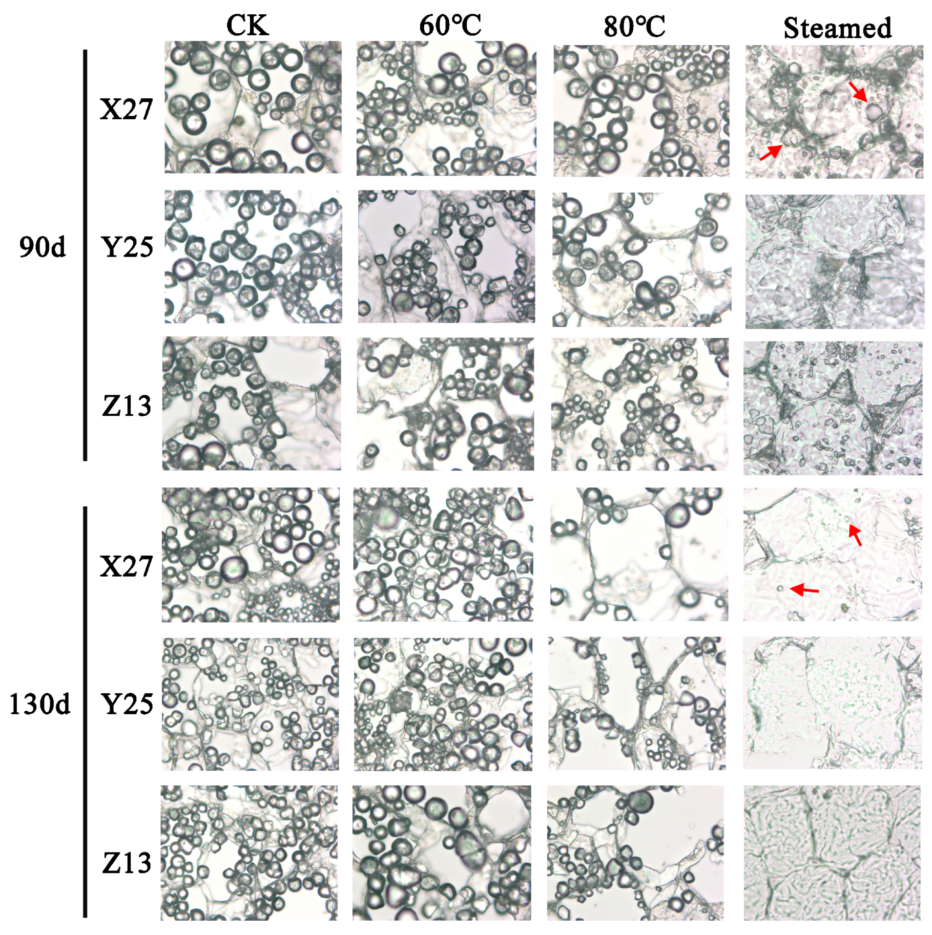Foods 12 03785 g005 Foods 12 03785 g005