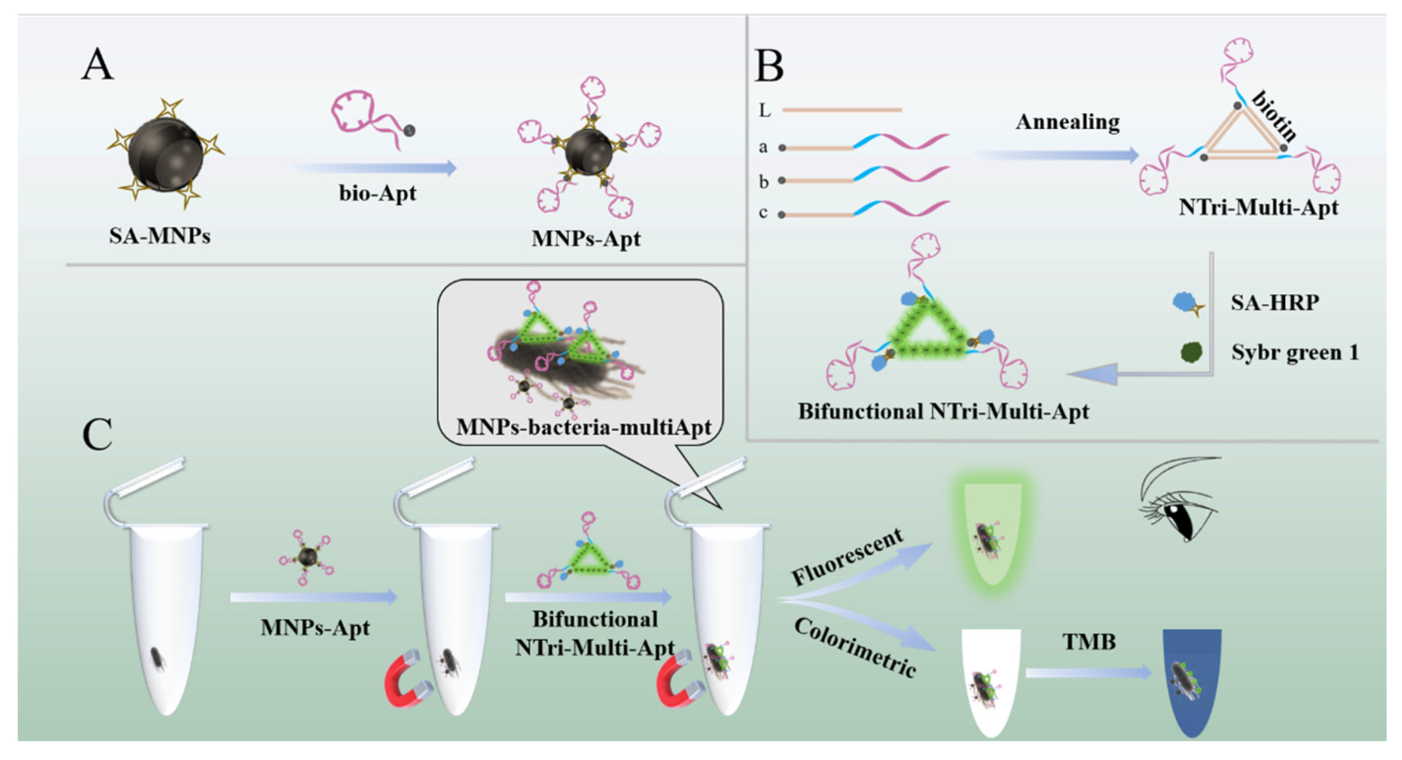 Foods 12 03853 sch001