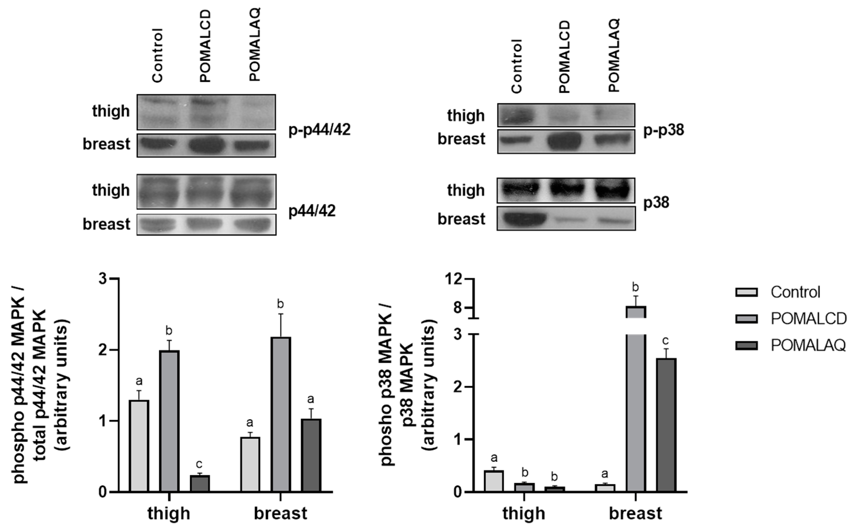 Foods 12 03870 g003 Foods 12 03870 g003