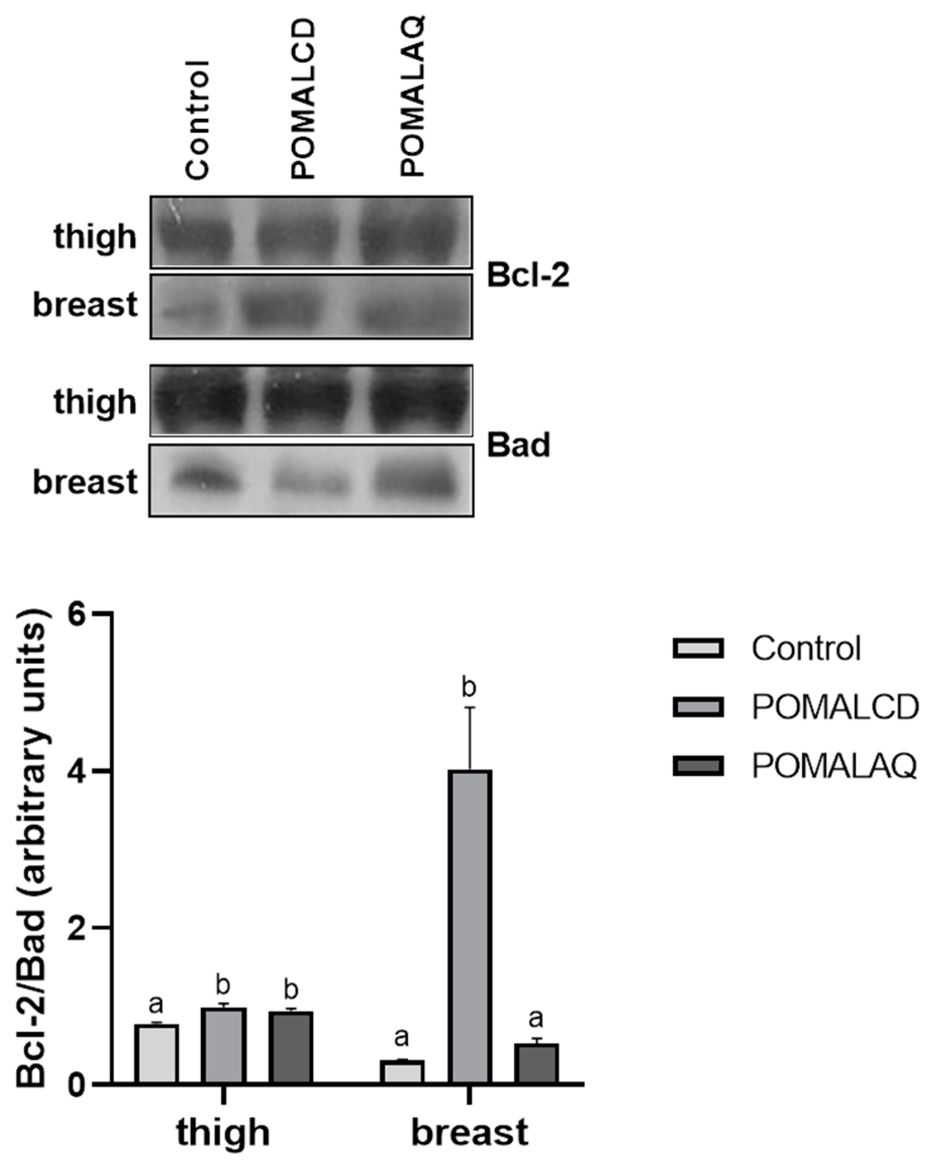 Foods 12 03870 g004 Foods 12 03870 g004