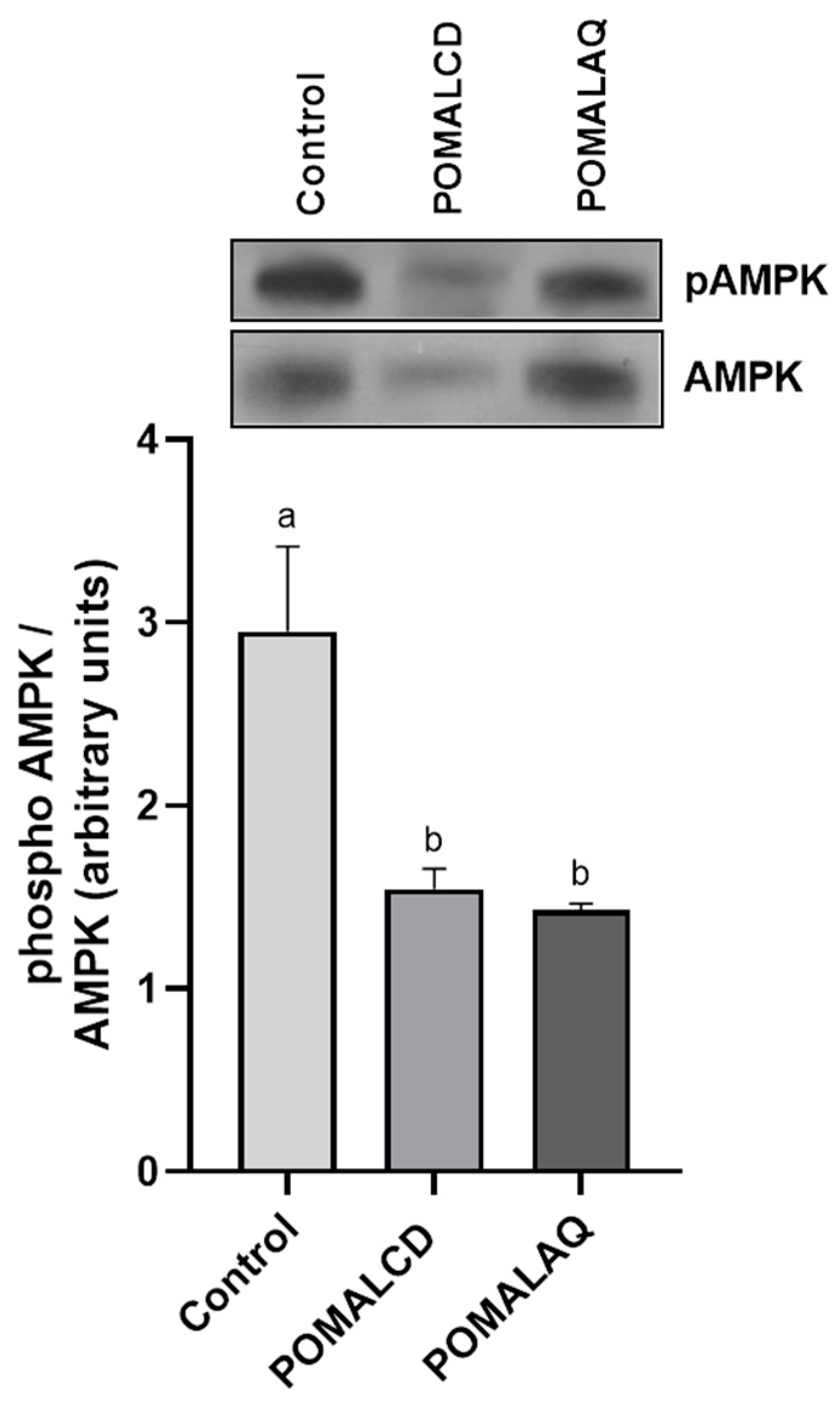 Foods 12 03870 g005 Foods 12 03870 g005