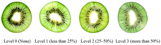 Risk In Consuming Rotten Fruits and Vegetables — Solar-powered cold storage  for developing countries