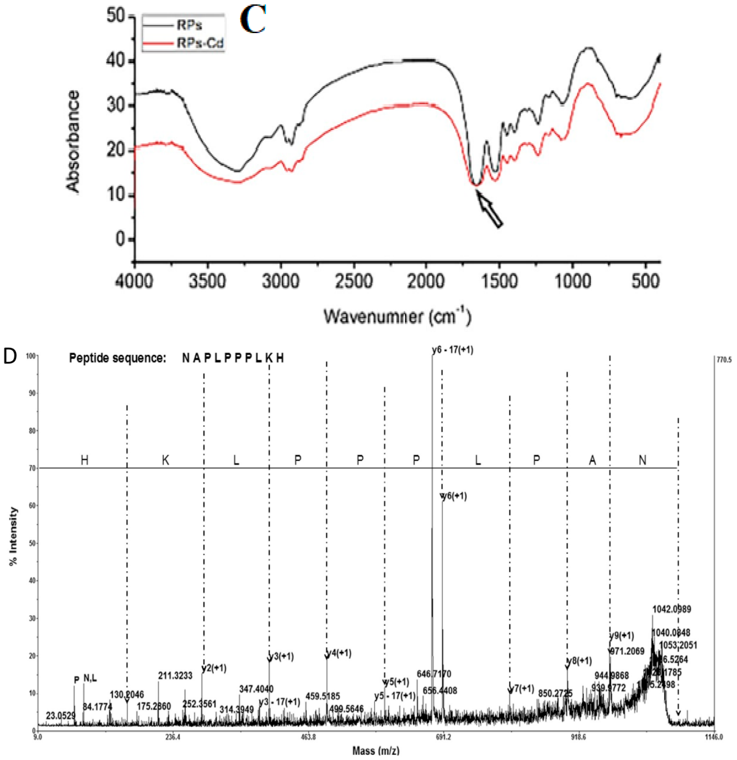 Foods 12 03898 g002b