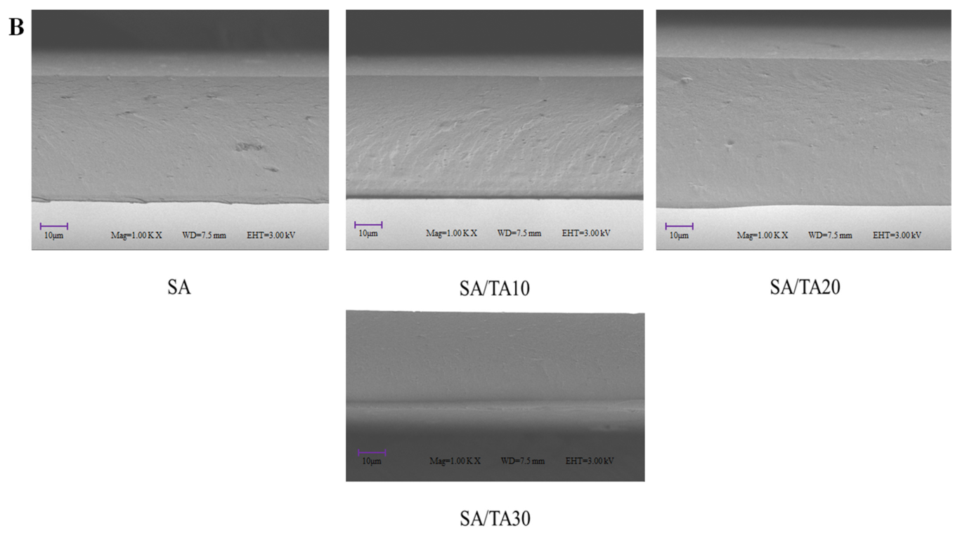 Foods 12 03936 g002b