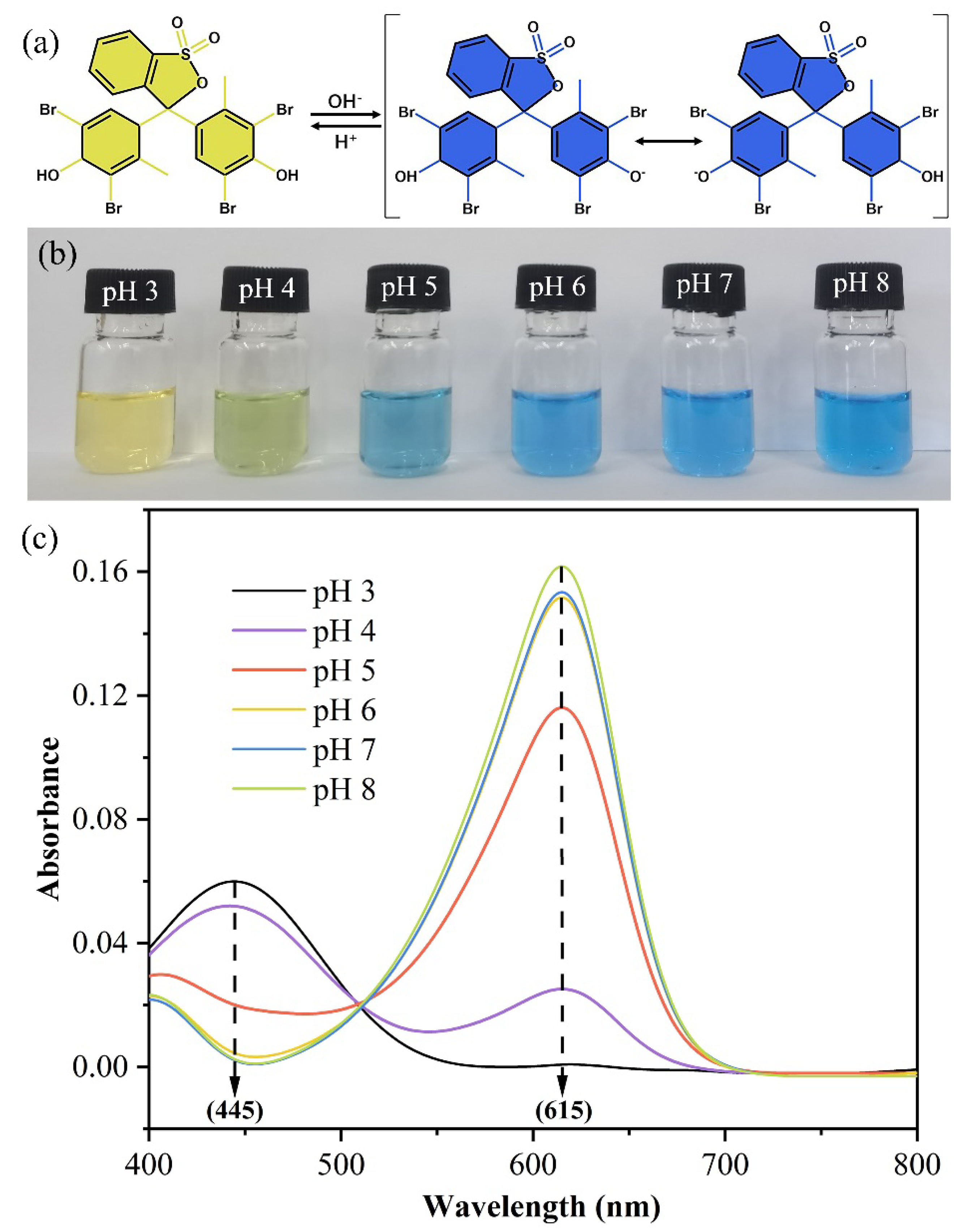 Foods 12 03964 g001 Foods 12 03964 g001