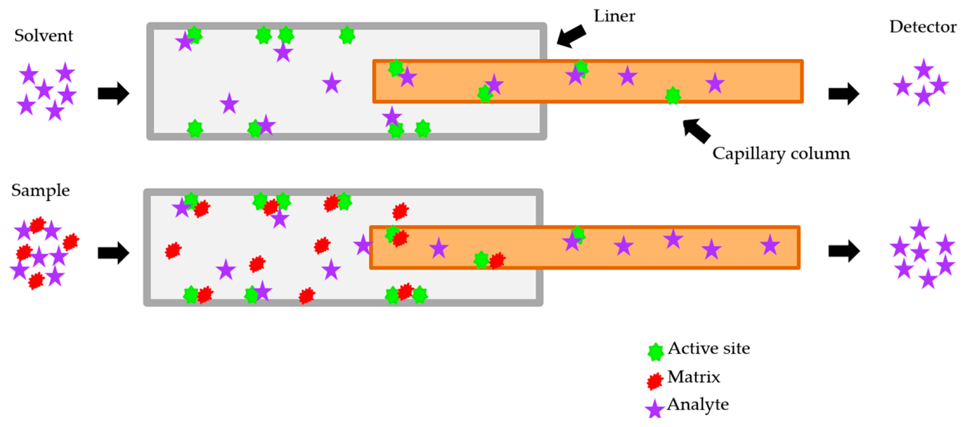 Foods 12 03991 g001 Foods 12 03991 g001