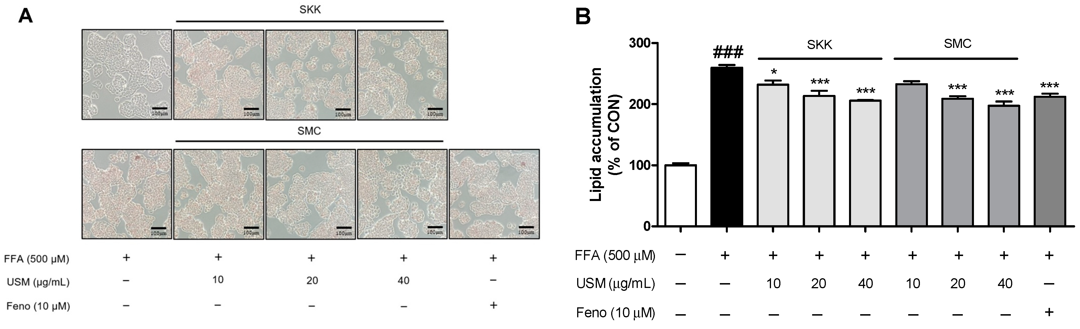 Foods 12 04016 g002 Foods 12 04016 g002