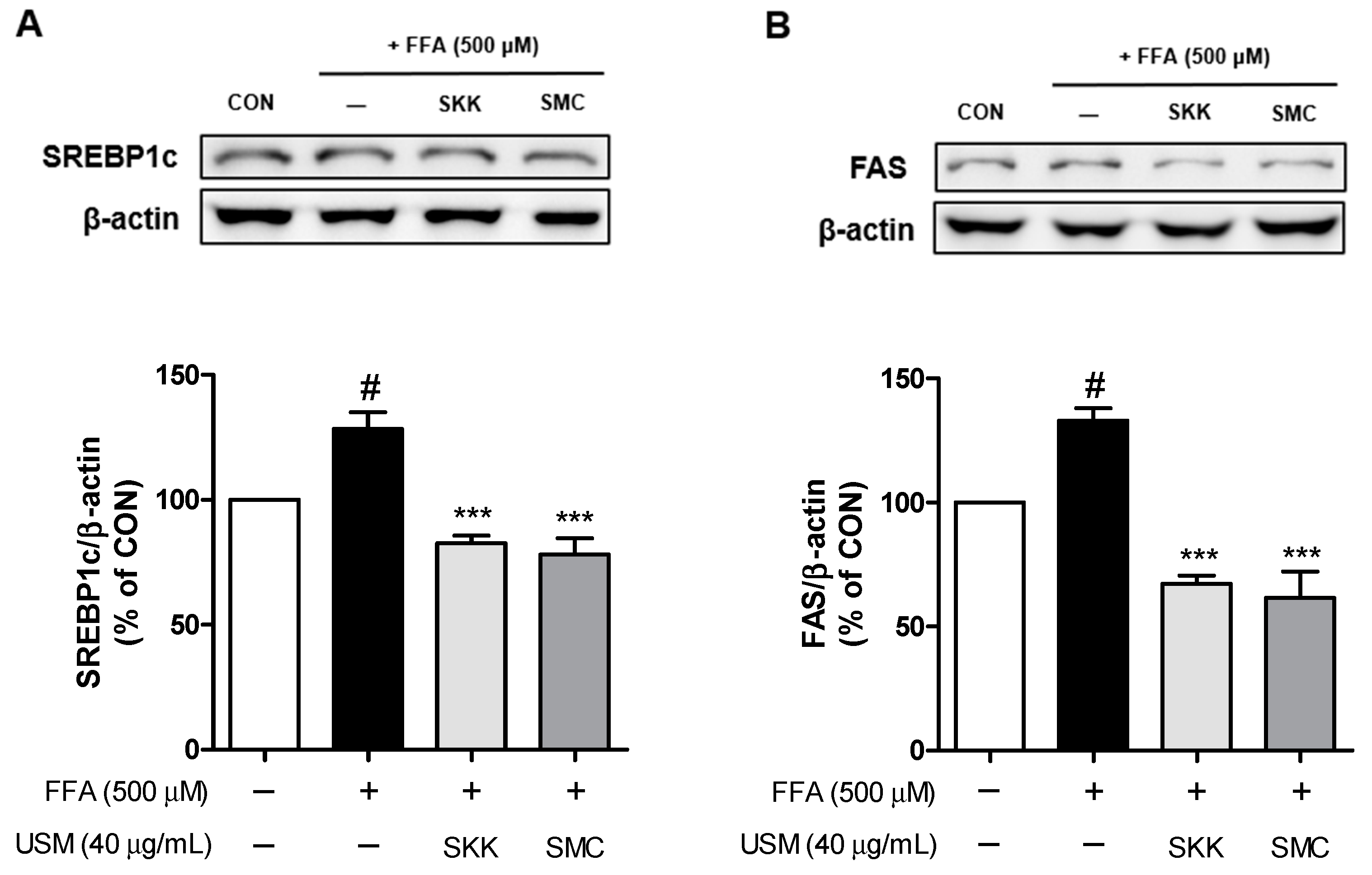 Foods 12 04016 g003 Foods 12 04016 g003