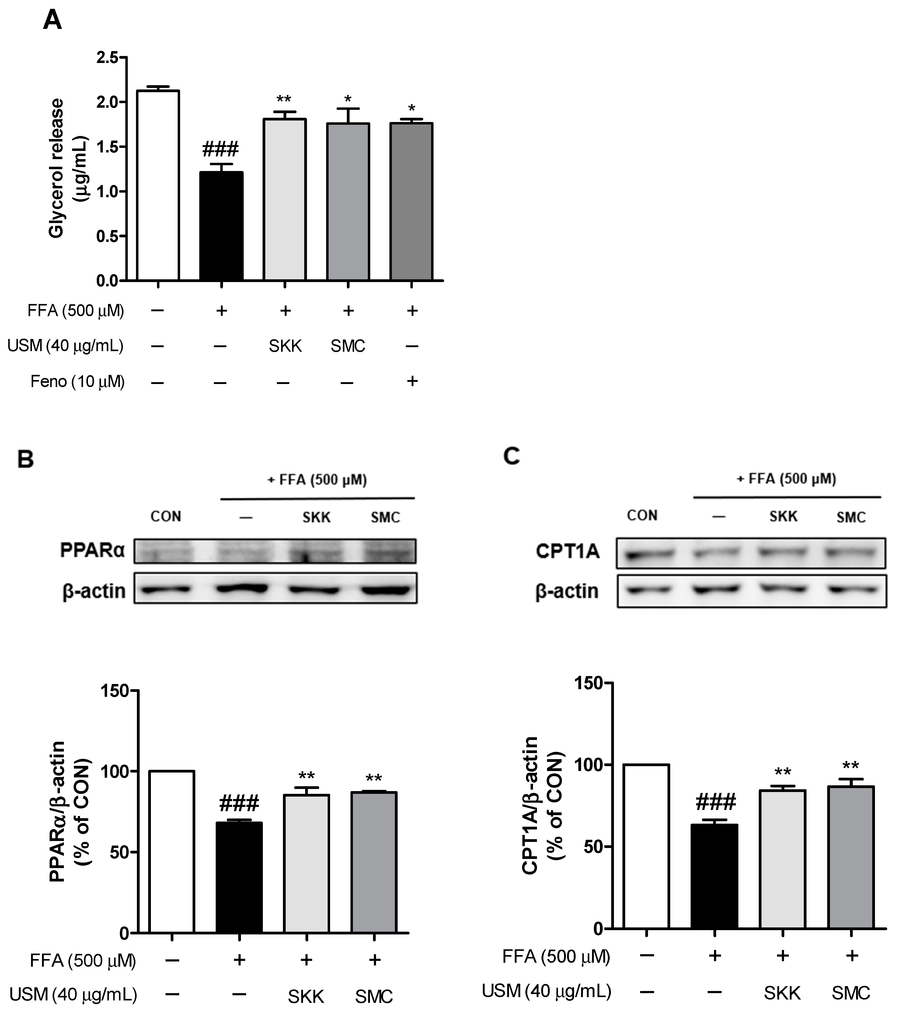 Foods 12 04016 g004 Foods 12 04016 g004