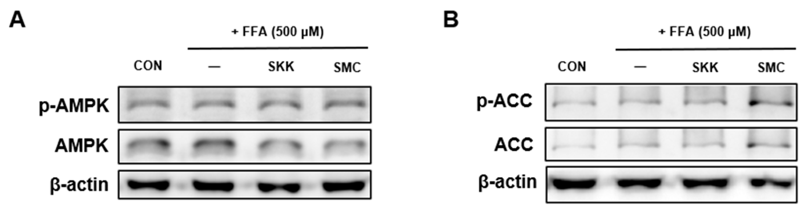 Foods 12 04016 g005a Foods 12 04016 g005a