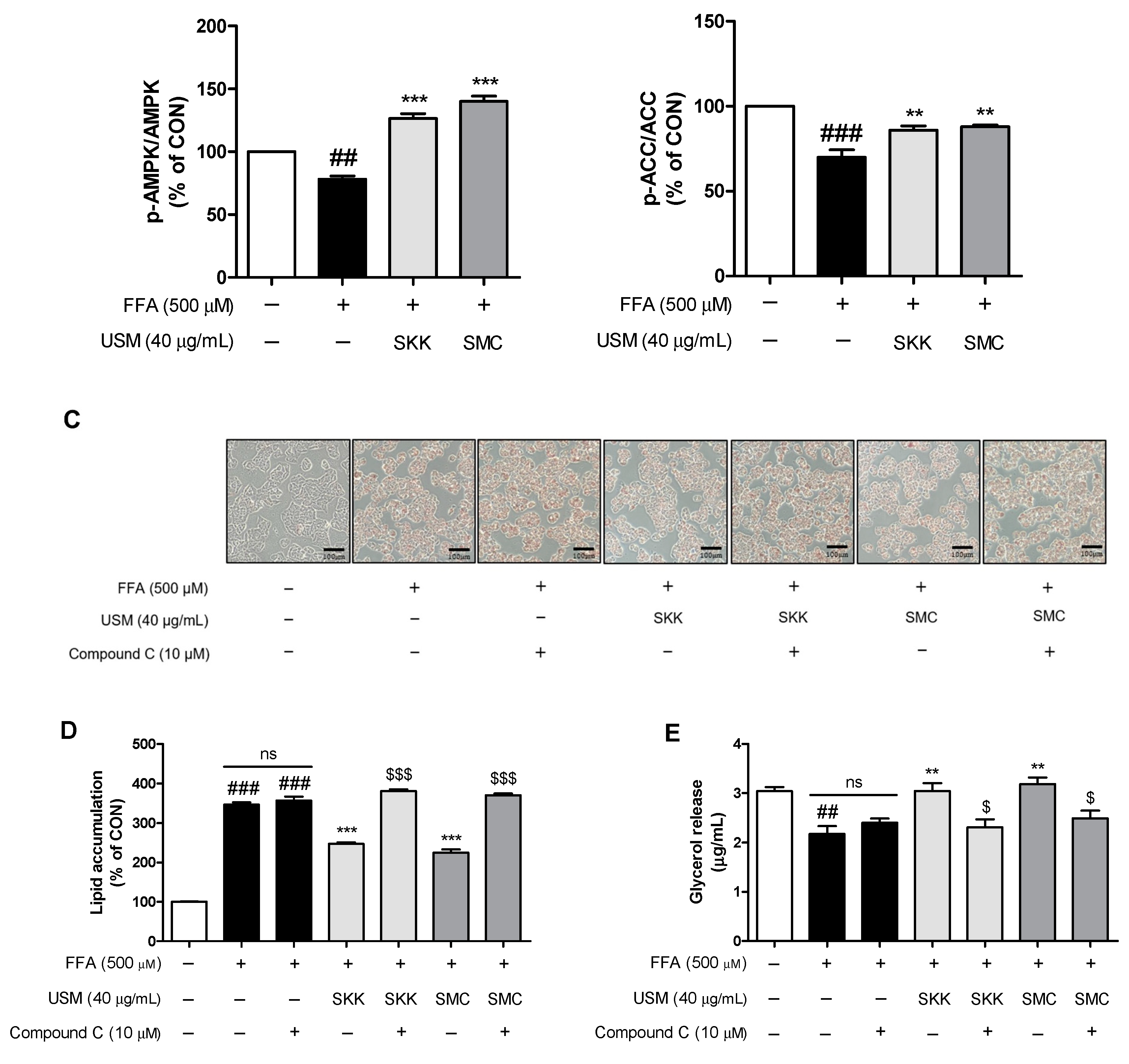 Foods 12 04016 g005b Foods 12 04016 g005b