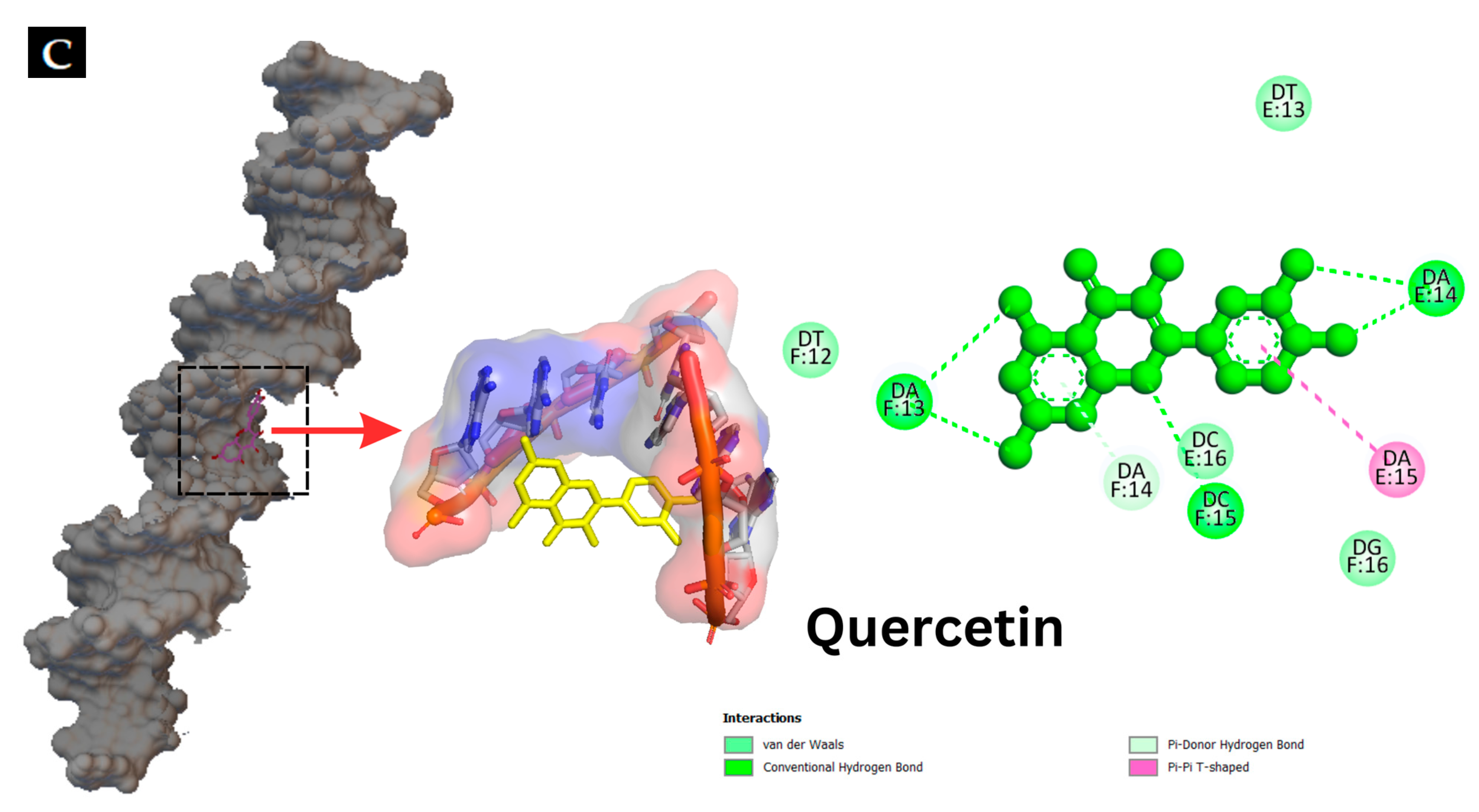 Foods 12 04051 g006b