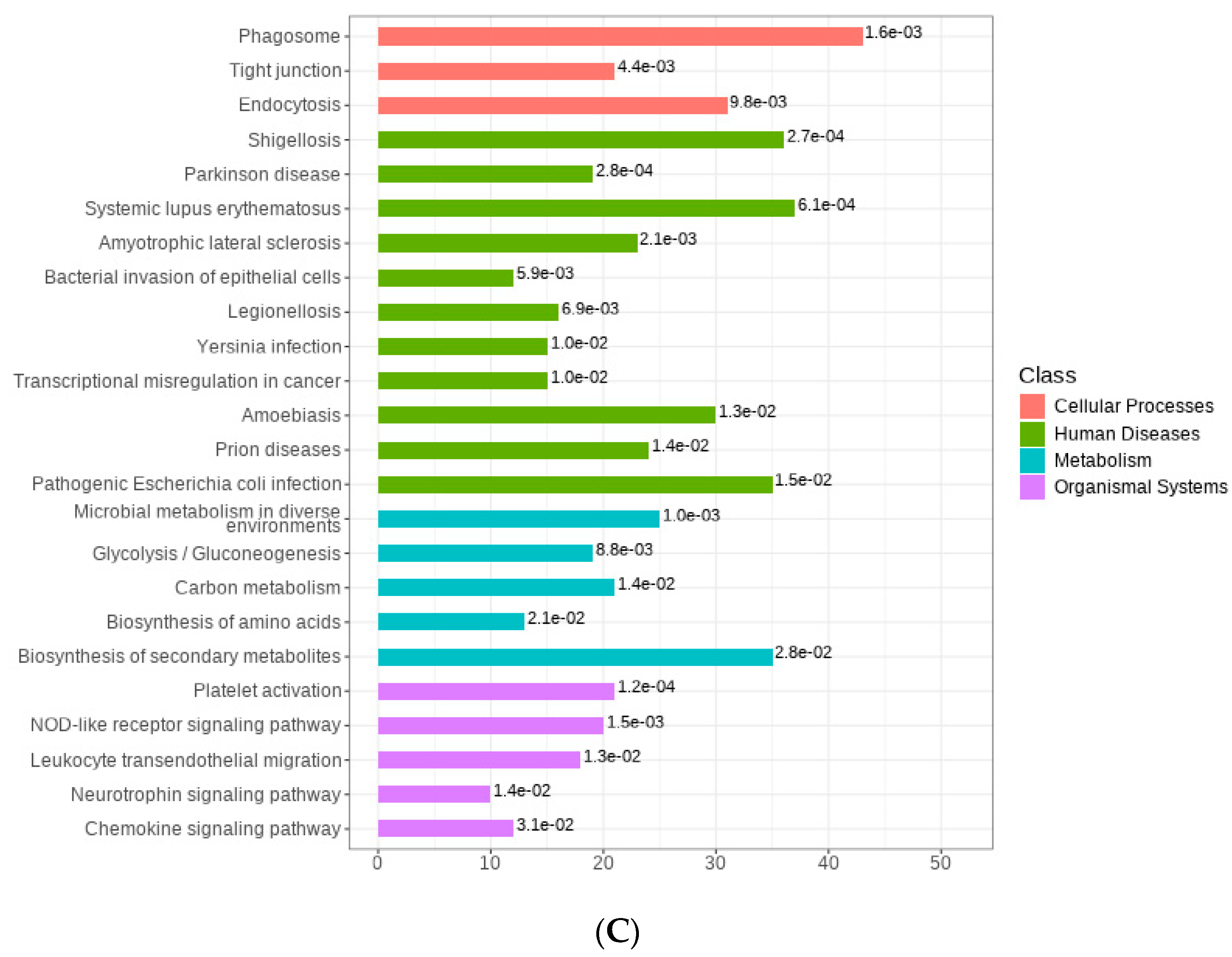Foods 12 04056 g003b